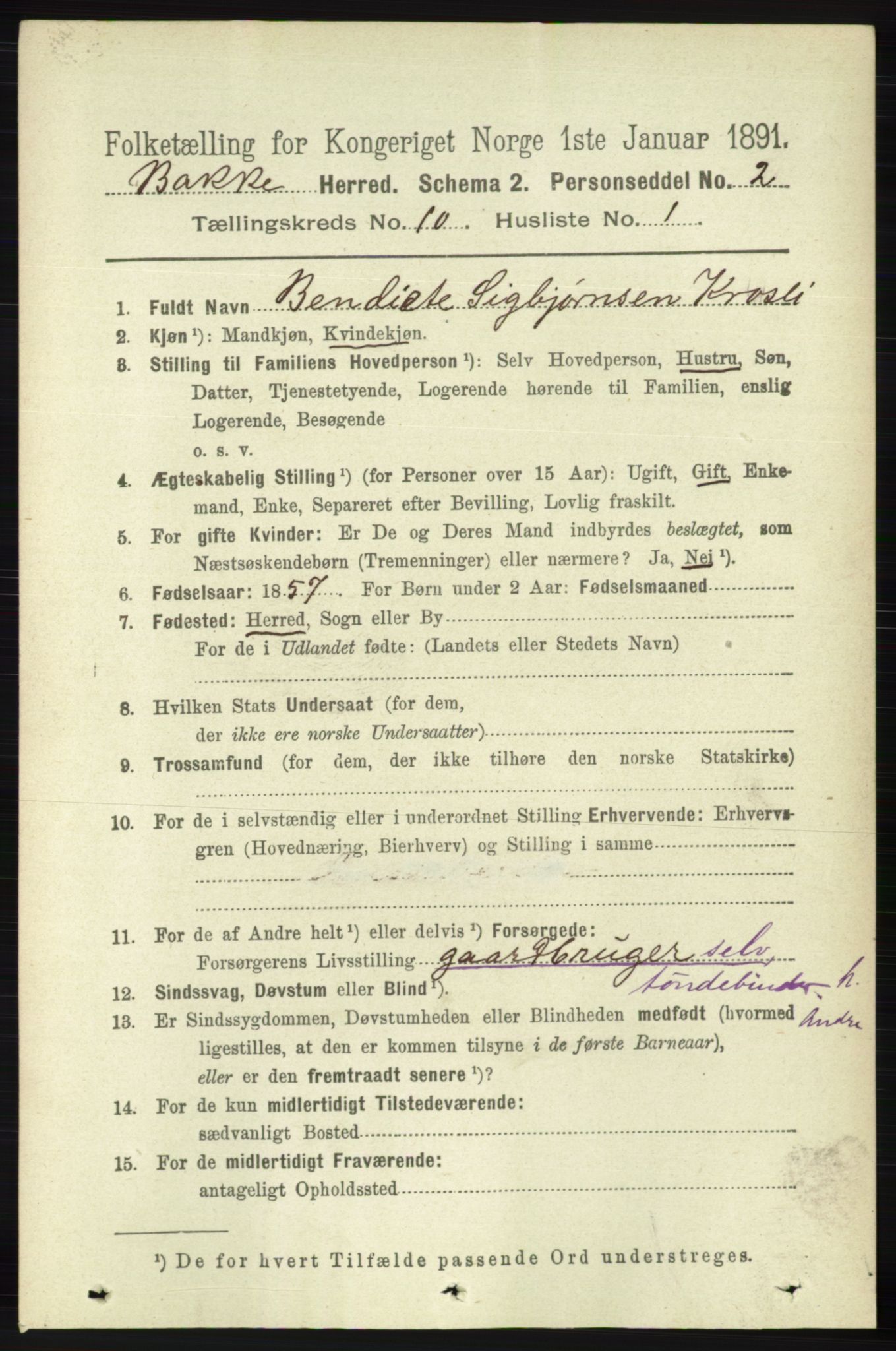 RA, 1891 census for 1045 Bakke, 1891, p. 2003