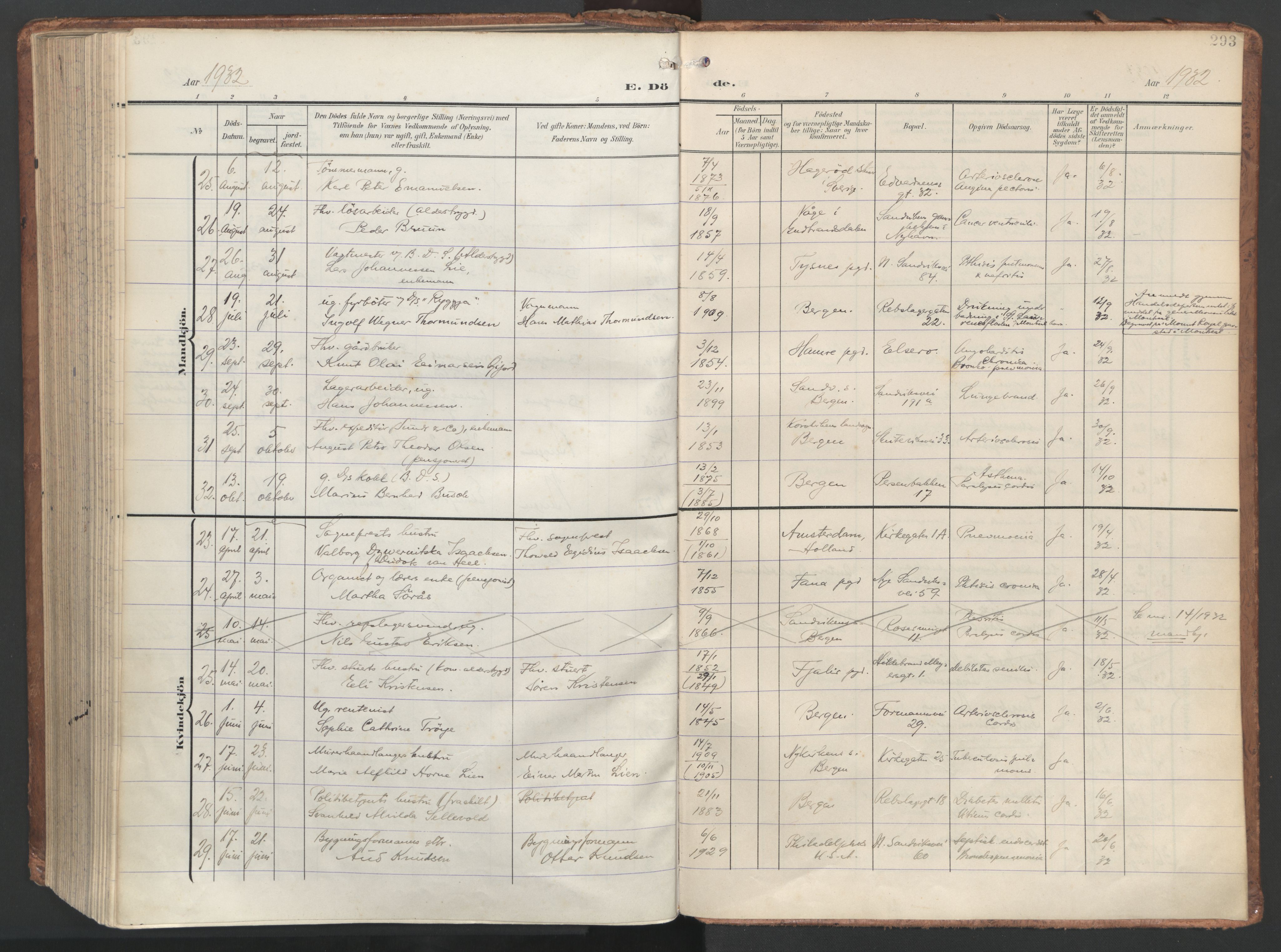 Sandviken Sokneprestembete, SAB/A-77601/H/Ha/L0019: Parish register (official) no. E 2, 1905-1933, p. 293