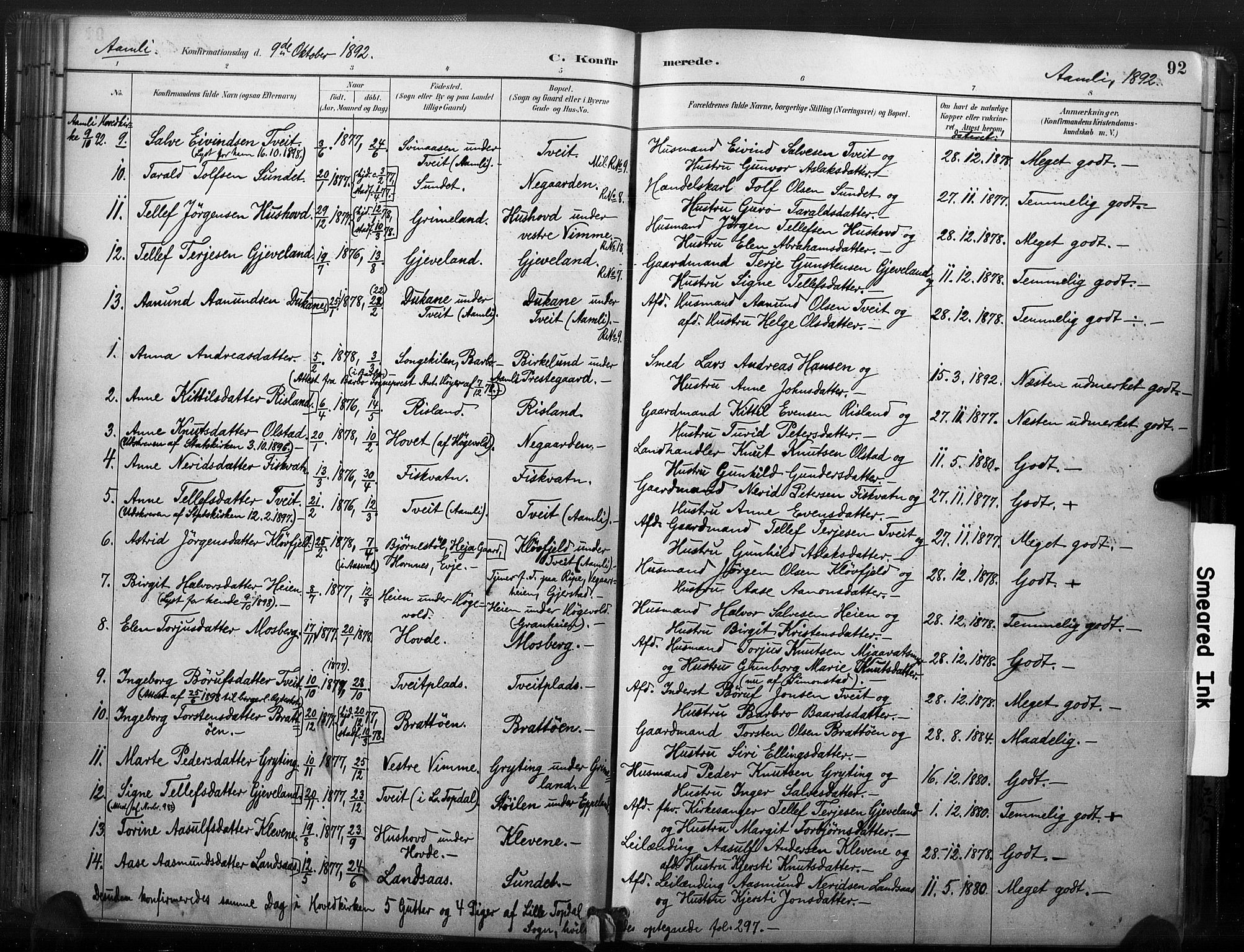 Åmli sokneprestkontor, AV/SAK-1111-0050/F/Fa/Fac/L0010: Parish register (official) no. A 10 /1, 1885-1899, p. 92