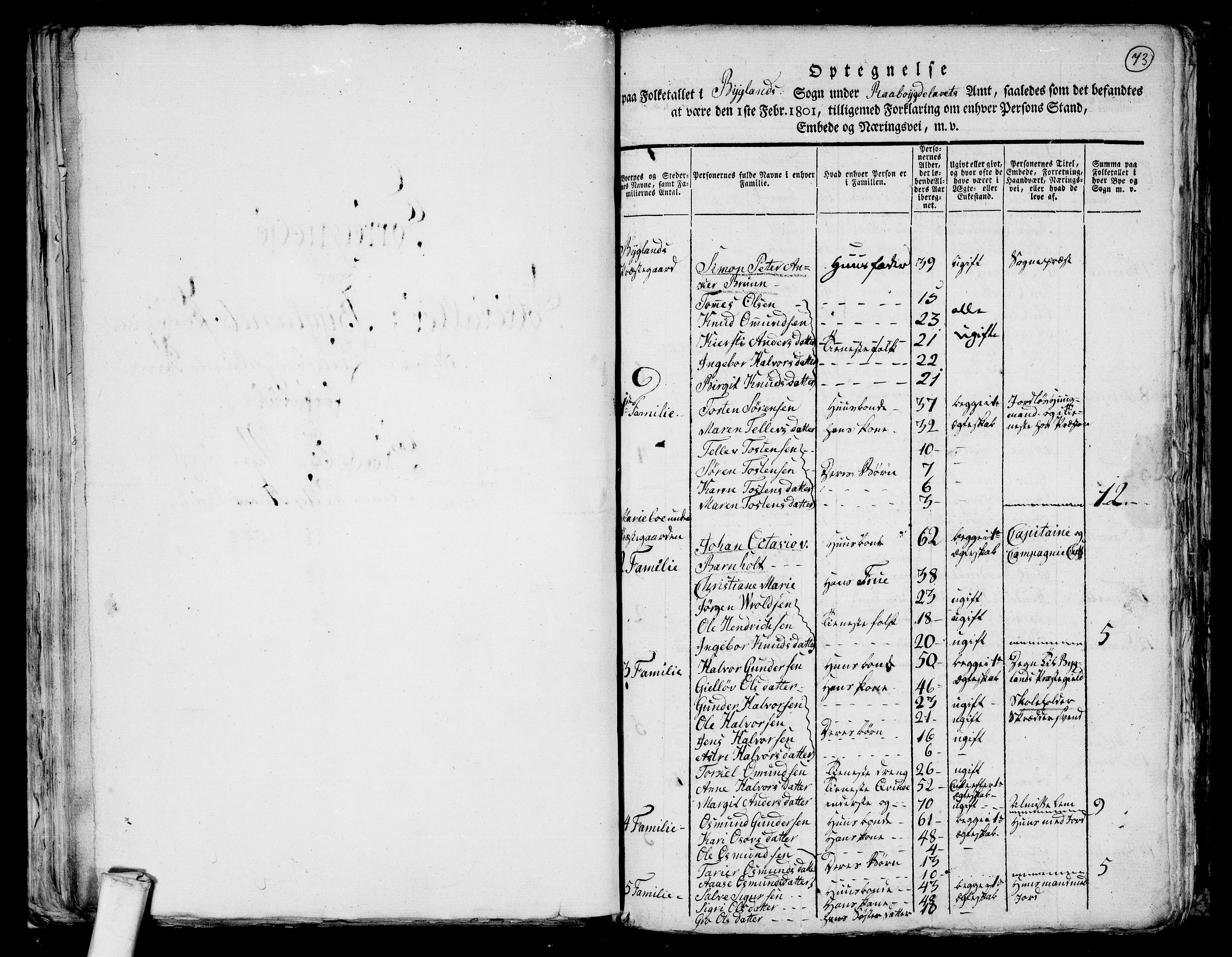 RA, 1801 census for 0938P Bygland, 1801, p. 72b-73a