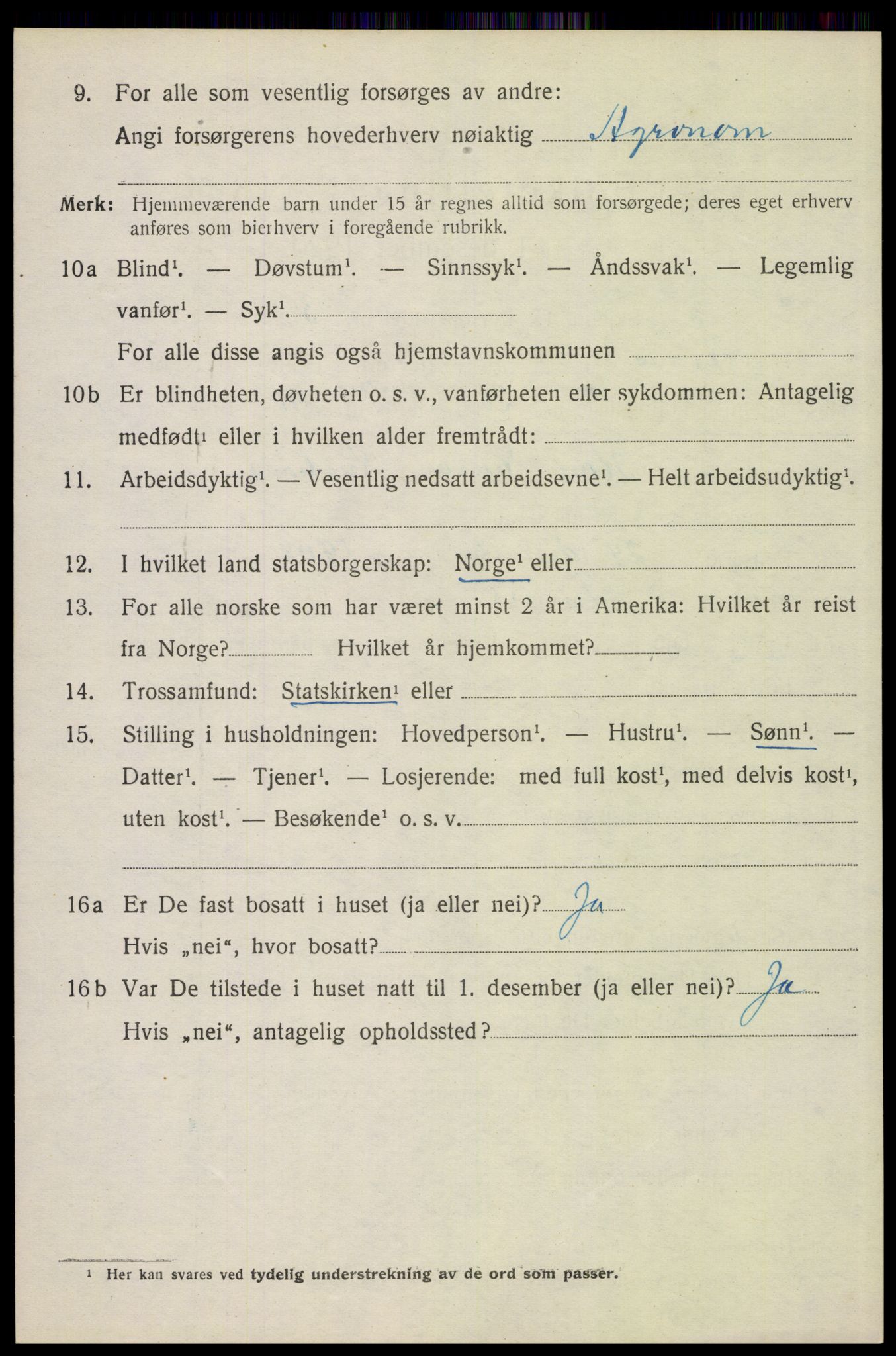 SAH, 1920 census for Åsnes, 1920, p. 6955