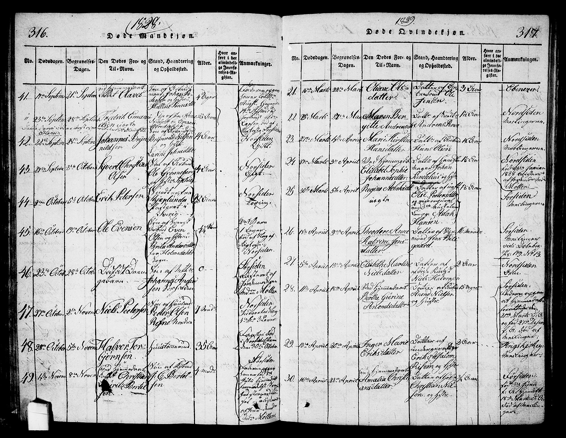 Halden prestekontor Kirkebøker, SAO/A-10909/G/Ga/L0001: Parish register (copy) no. 1, 1815-1833, p. 316-317