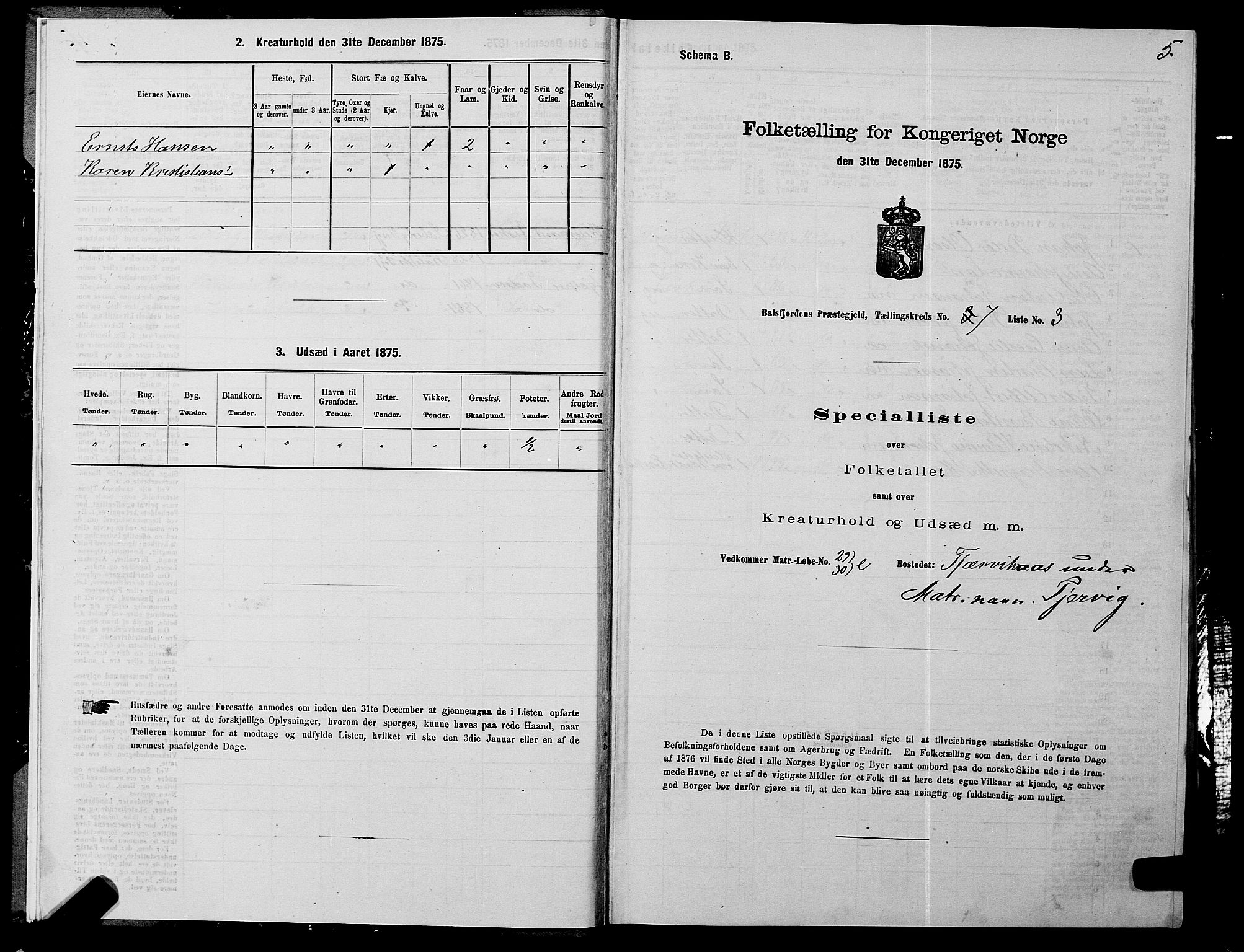 SATØ, 1875 census for 1933P Balsfjord, 1875, p. 4005