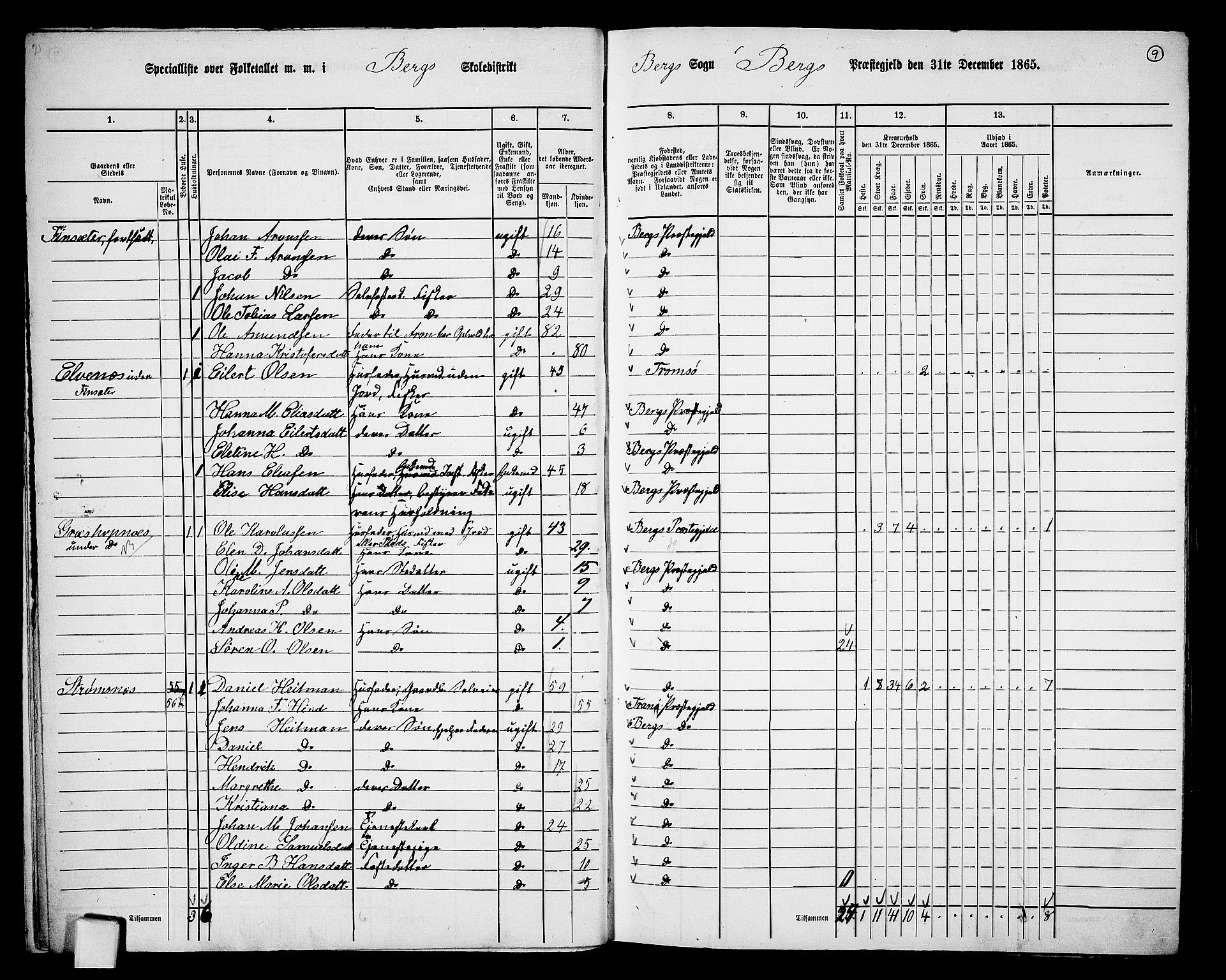 RA, 1865 census for Berg, 1865, p. 10