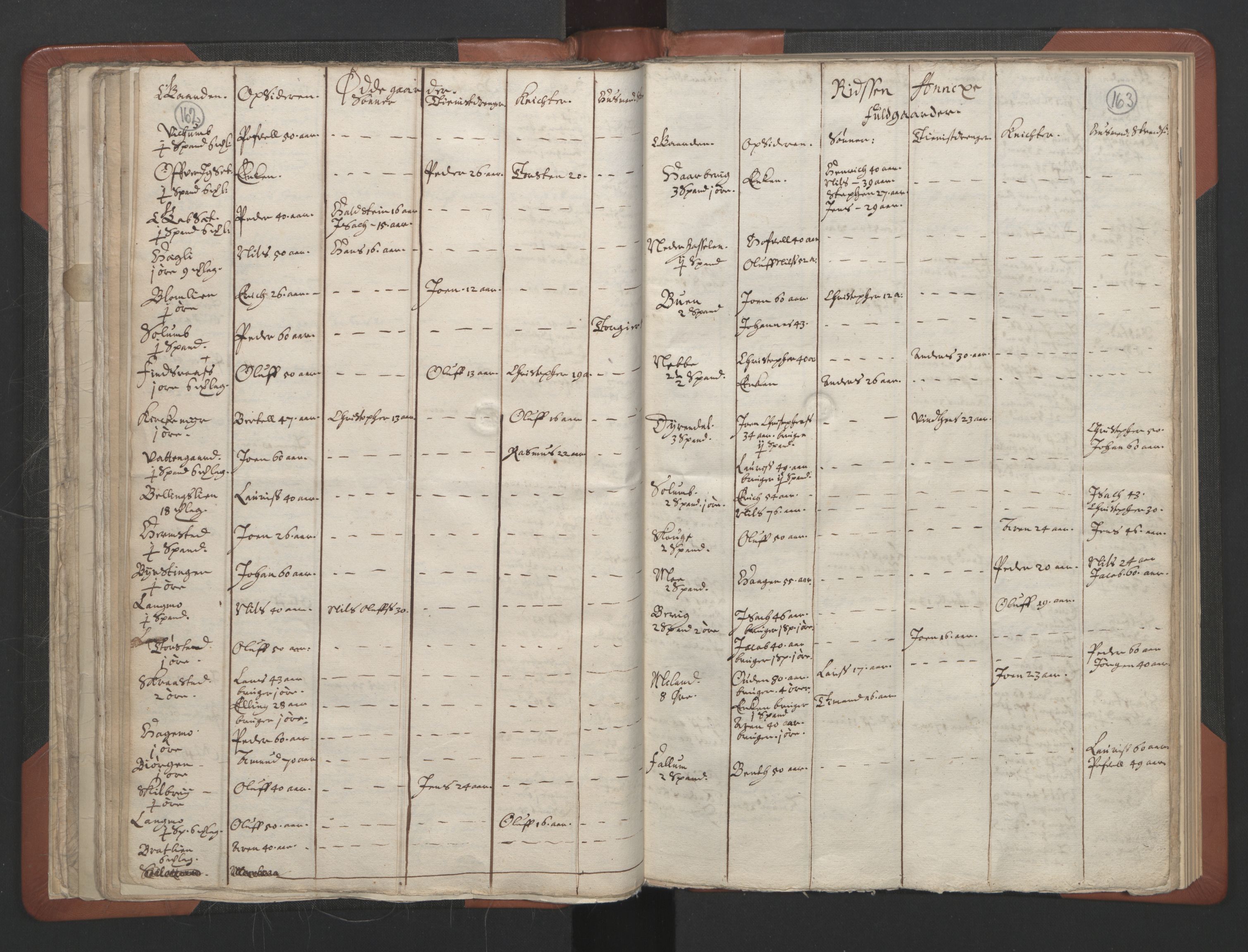RA, Vicar's Census 1664-1666, no. 30: Fosen deanery, 1664-1666, p. 162-163