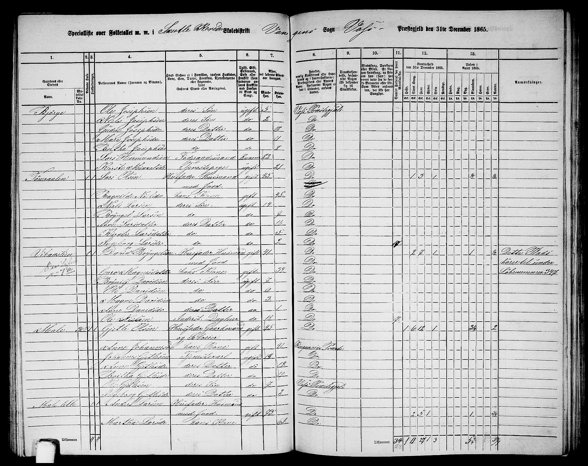 RA, 1865 census for Voss, 1865, p. 166