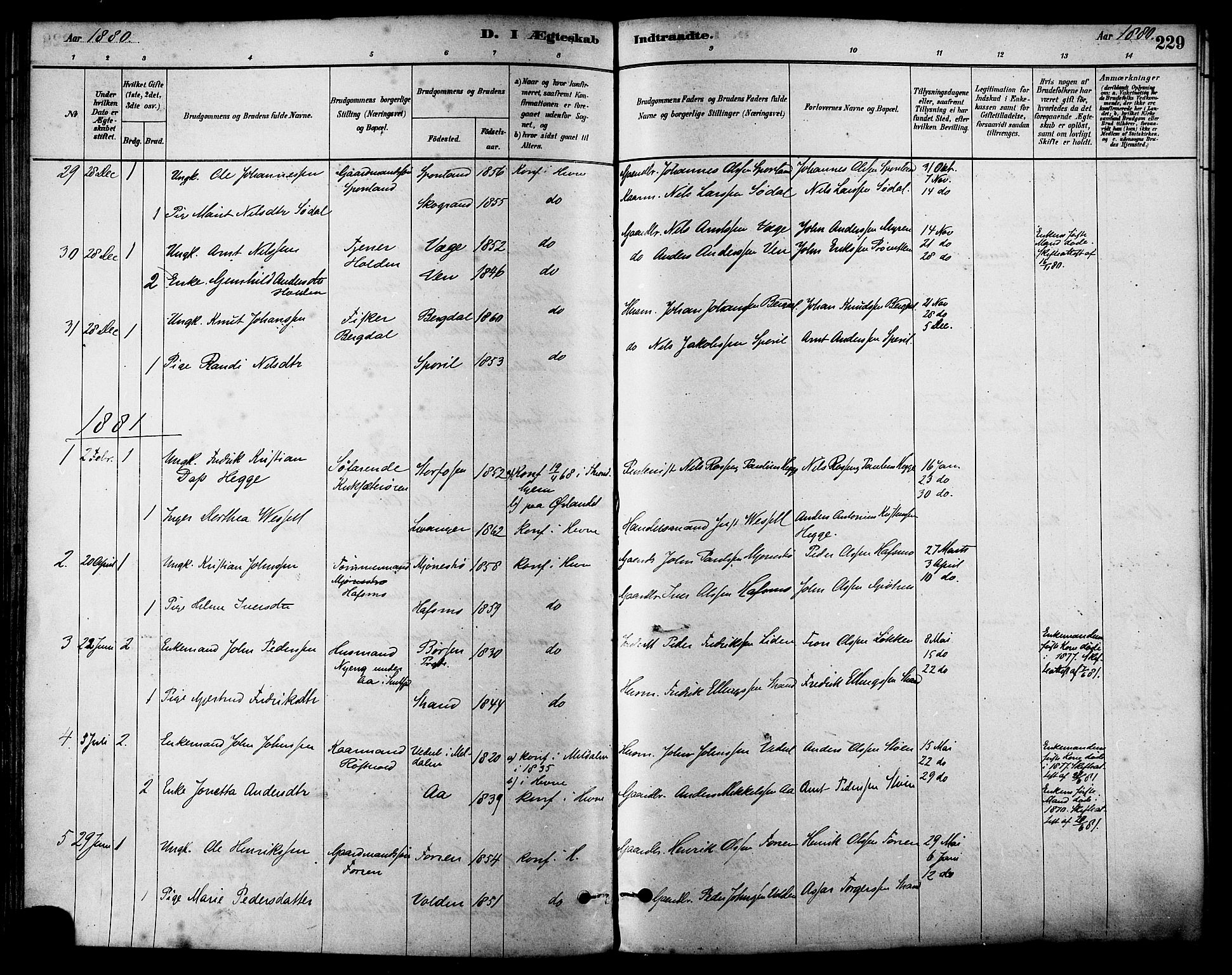 Ministerialprotokoller, klokkerbøker og fødselsregistre - Sør-Trøndelag, AV/SAT-A-1456/630/L0496: Parish register (official) no. 630A09, 1879-1895, p. 229