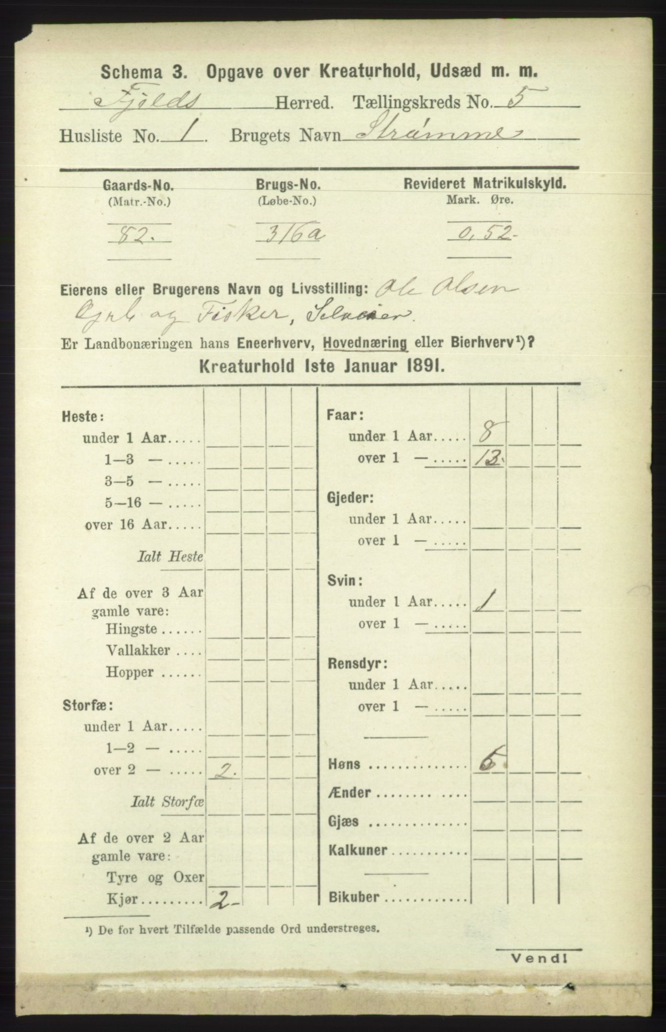 RA, 1891 census for 1246 Fjell, 1891, p. 4513