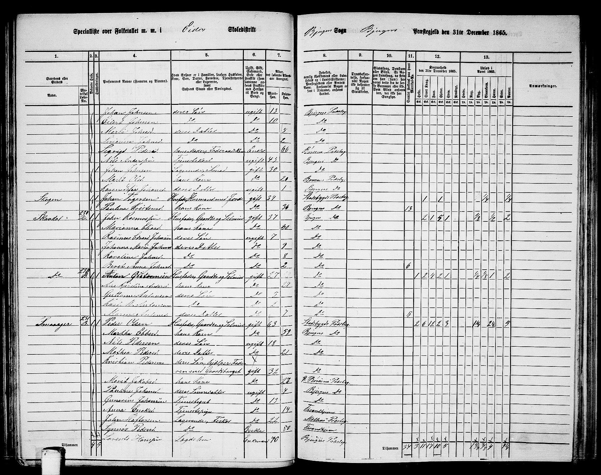 RA, 1865 census for Bjugn, 1865, p. 82