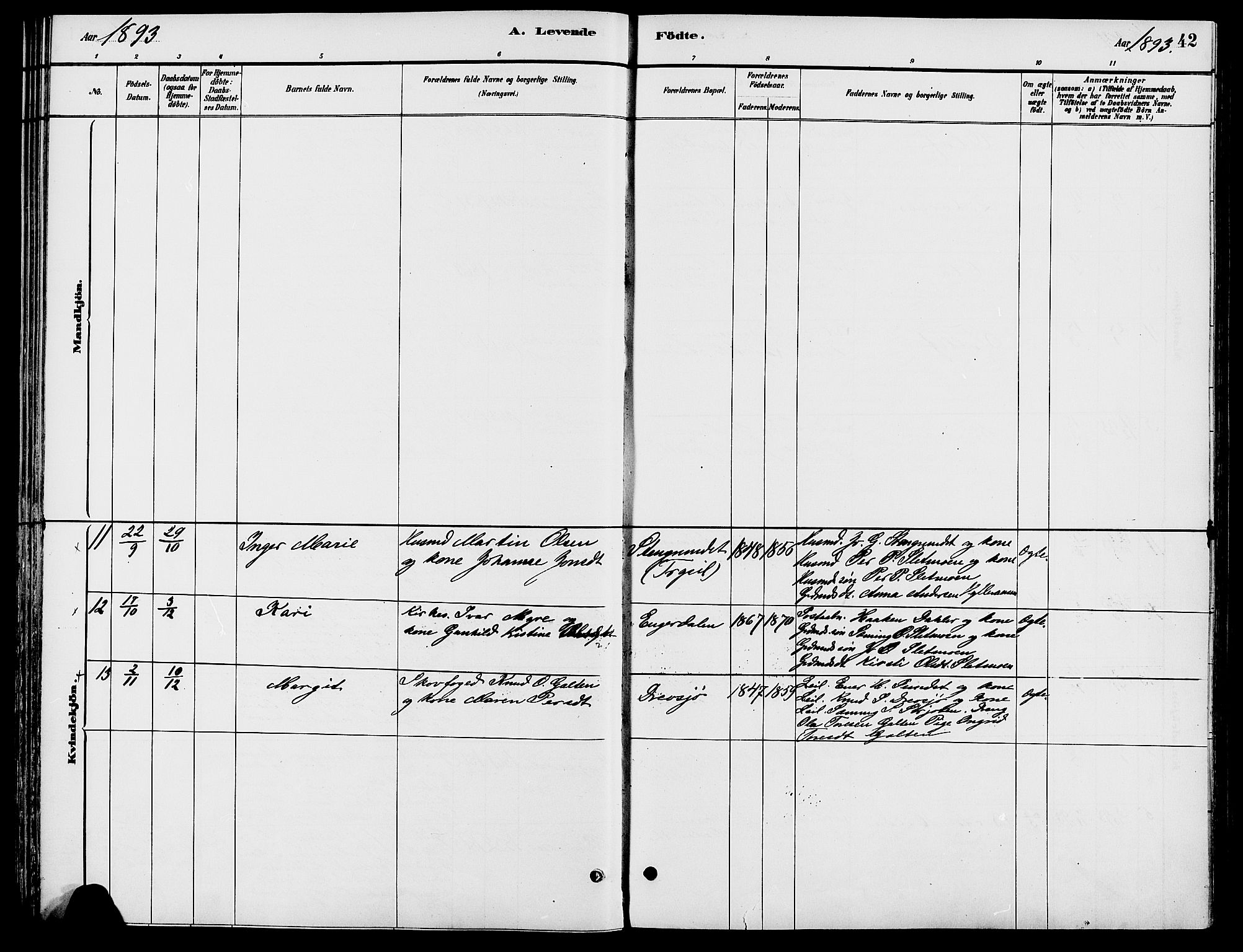 Engerdal prestekontor, AV/SAH-PREST-048/H/Ha/Haa/L0001: Parish register (official) no. 1, 1881-1898, p. 42