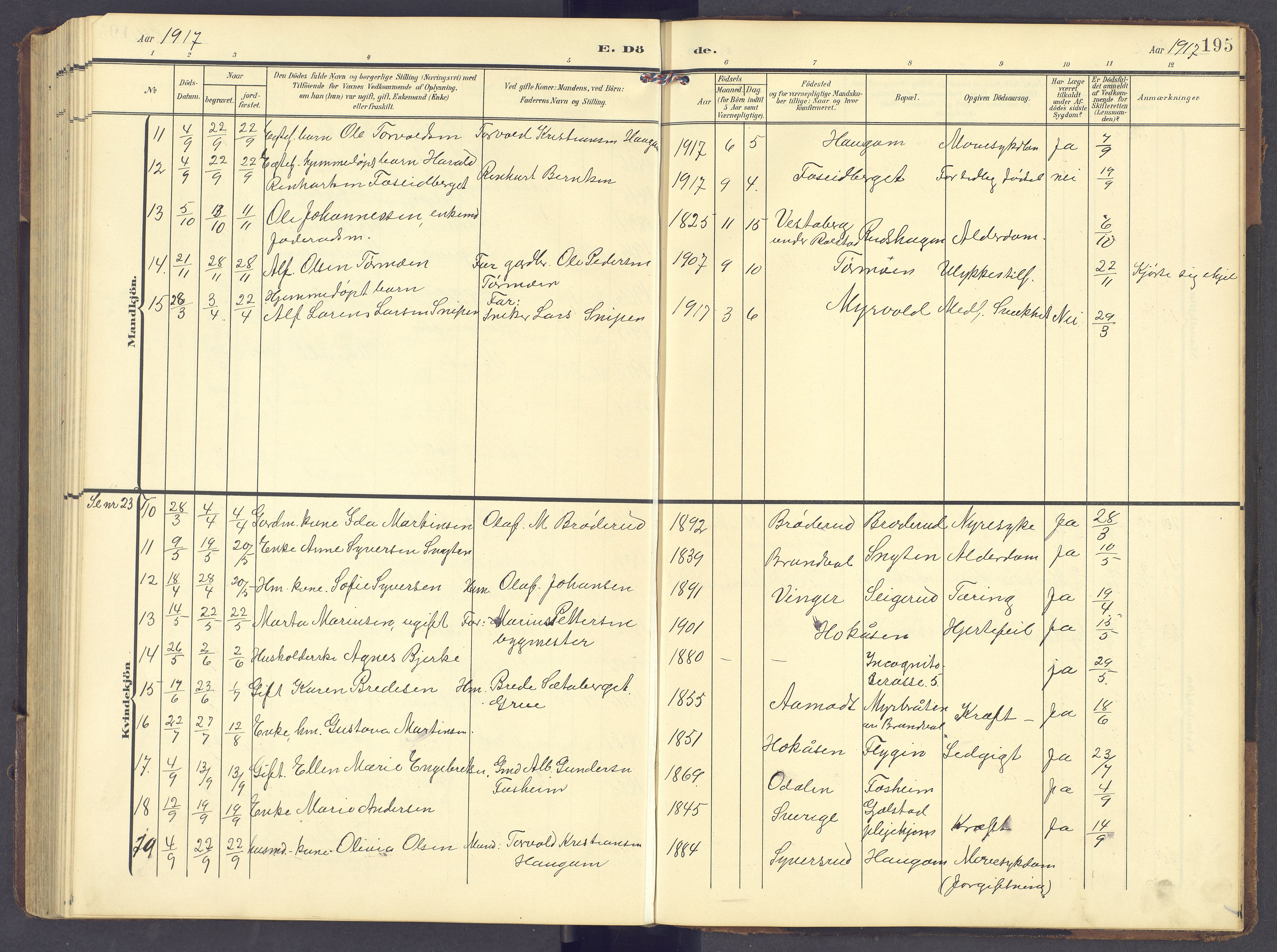 Brandval prestekontor, AV/SAH-PREST-034/H/Ha/Hab/L0003: Parish register (copy) no. 3, 1904-1917, p. 195