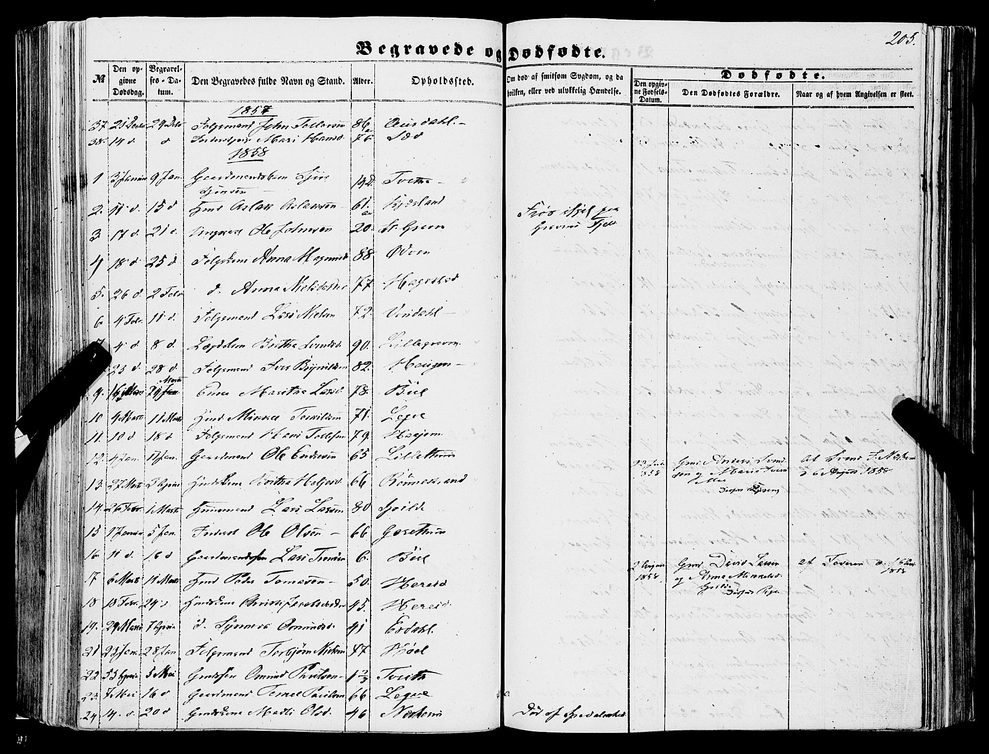 Ulvik sokneprestembete, SAB/A-78801/H/Haa: Parish register (official) no. A 13, 1853-1863, p. 205