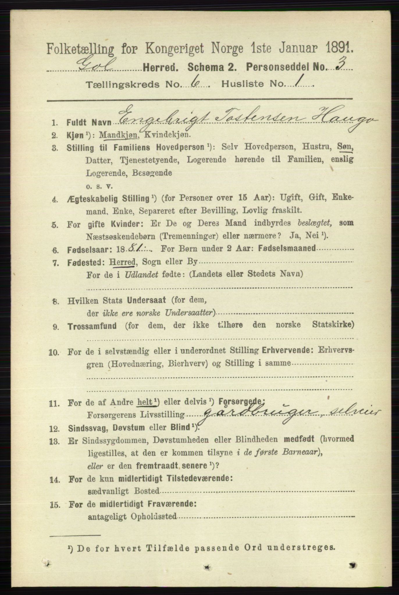 RA, 1891 census for 0617 Gol og Hemsedal, 1891, p. 2424