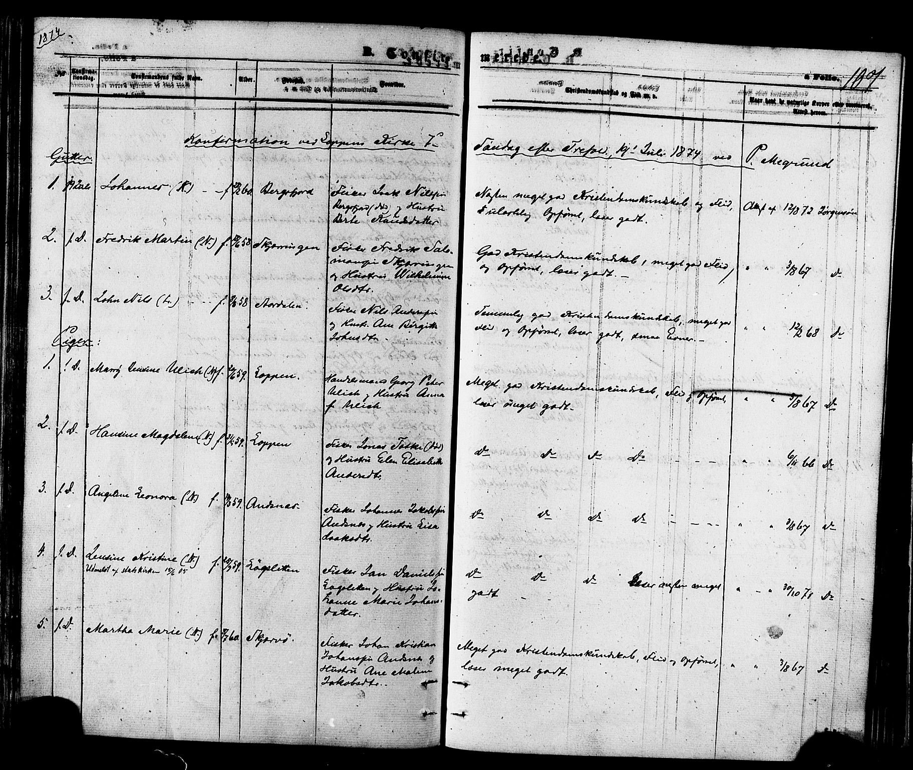 Loppa sokneprestkontor, AV/SATØ-S-1339/H/Ha/L0005kirke: Parish register (official) no. 5, 1869-1878, p. 107