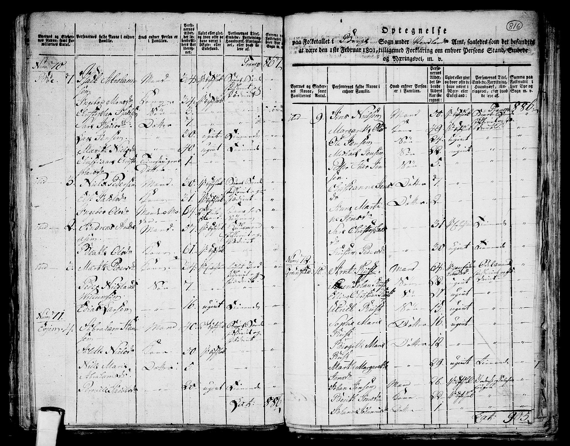 RA, 1801 census for 1862P Borge, 1801, p. 815b-816a