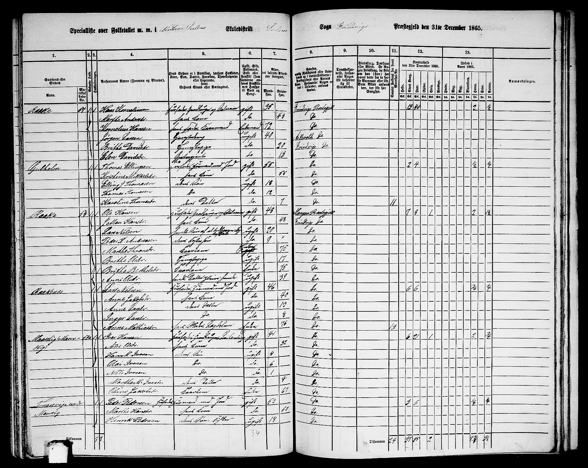 RA, 1865 census for Eivindvik, 1865, p. 170