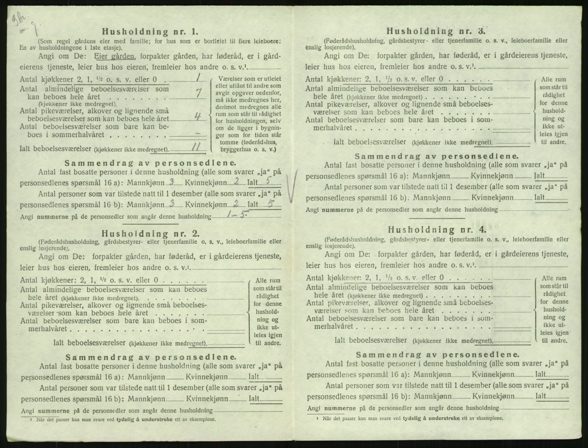 SAK, 1920 census for Hornnes, 1920, p. 432