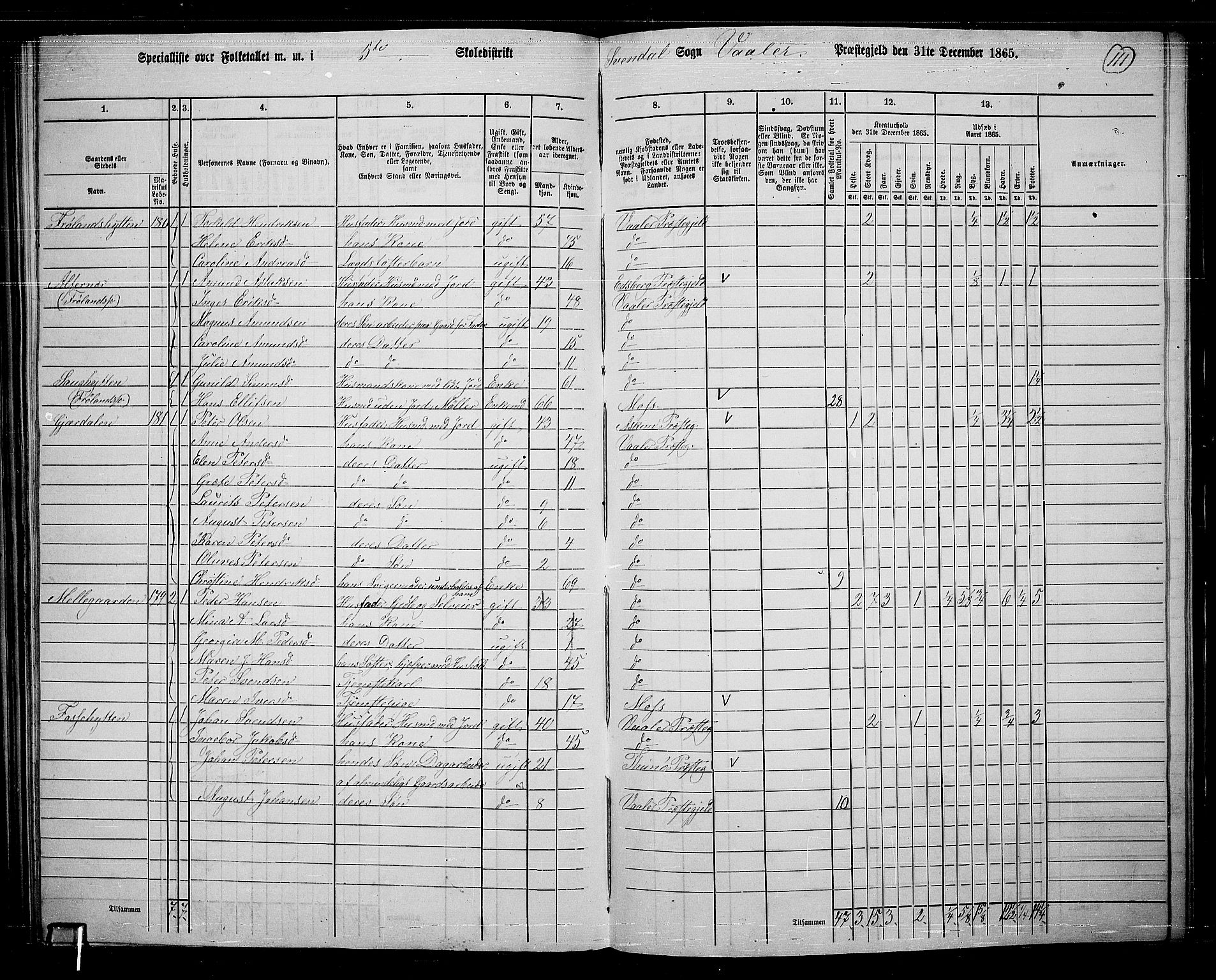 RA, 1865 census for Våler, 1865, p. 97