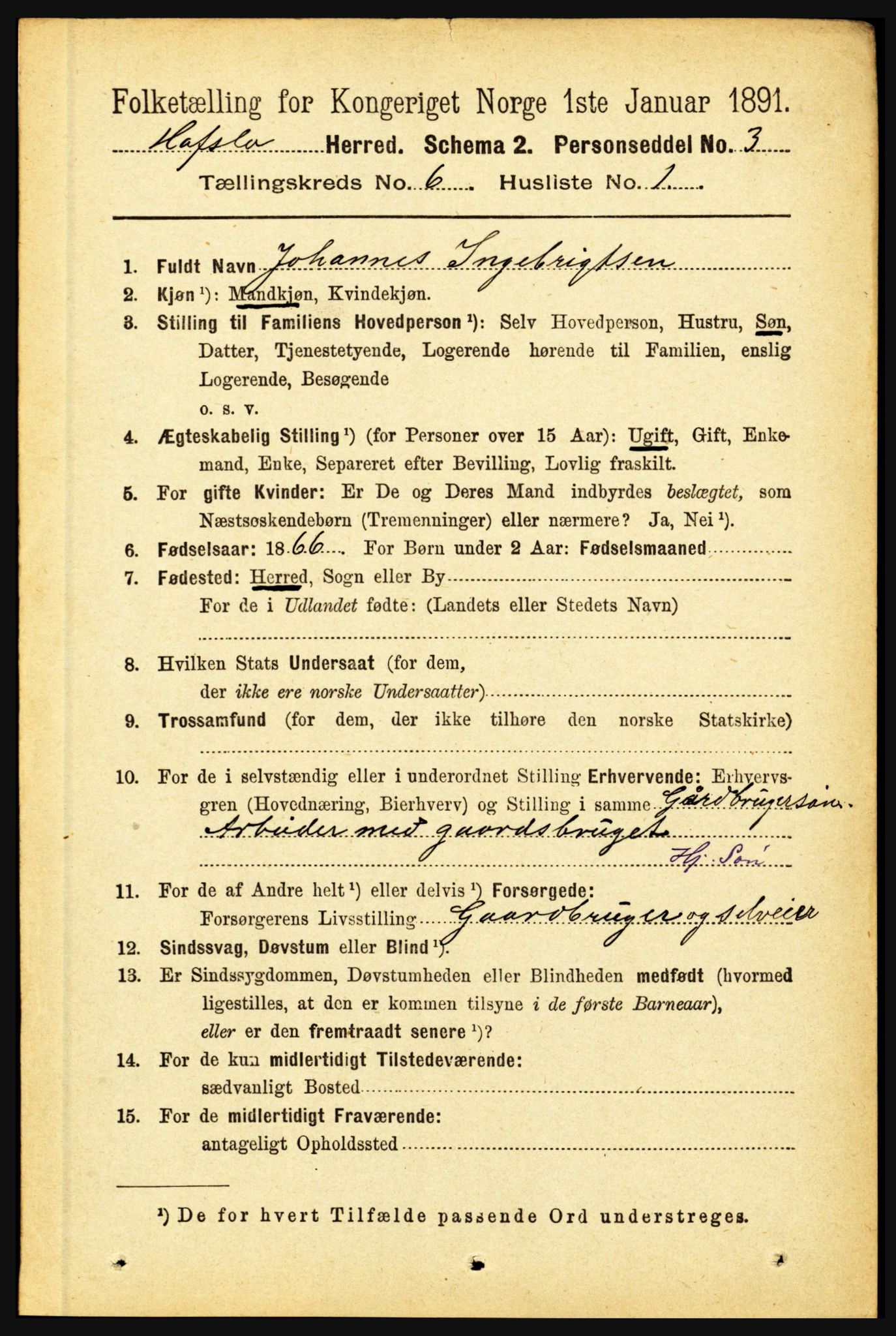 RA, 1891 census for 1425 Hafslo, 1891, p. 2338