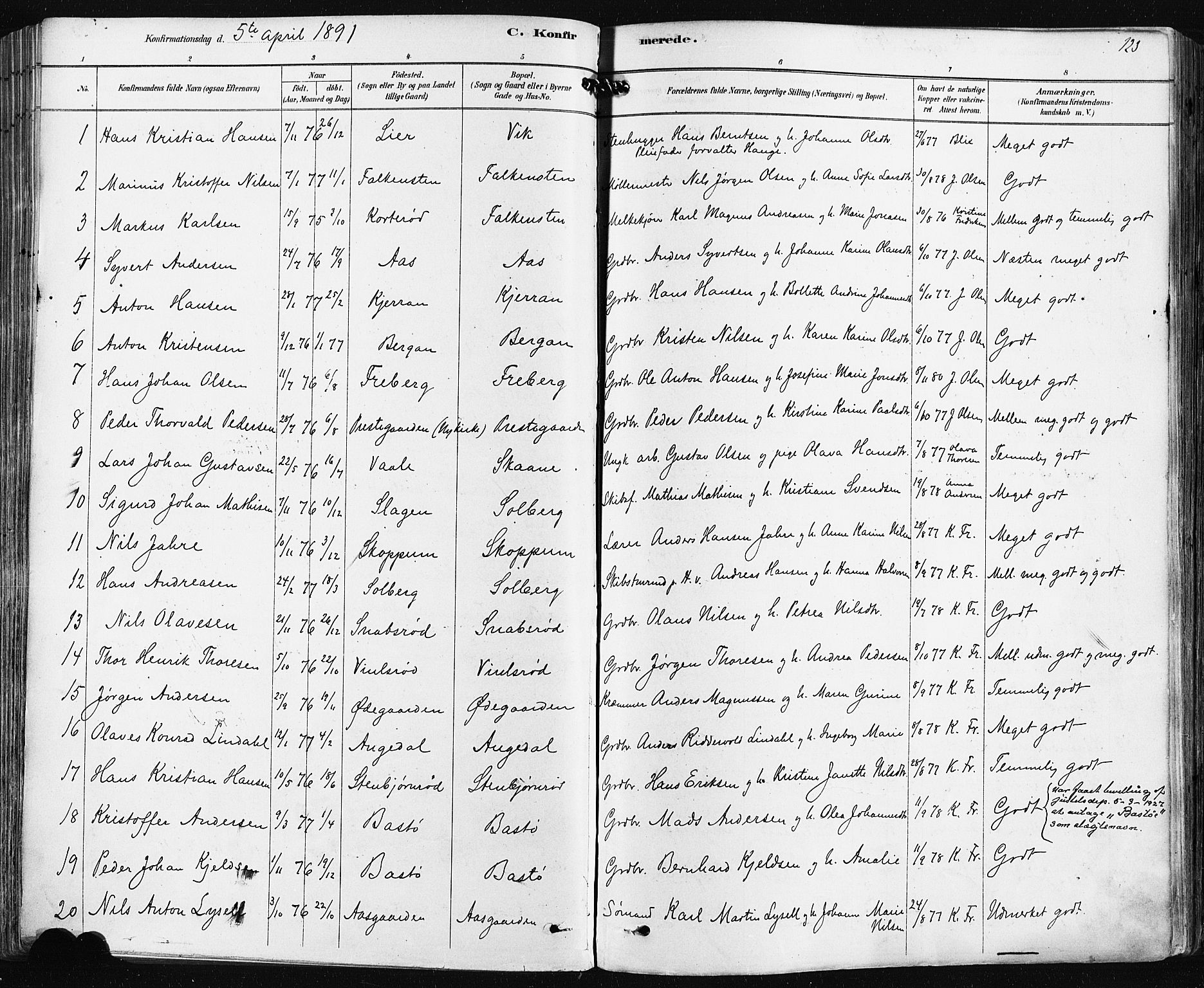 Borre kirkebøker, SAKO/A-338/F/Fa/L0009: Parish register (official) no. I 9, 1878-1896, p. 123