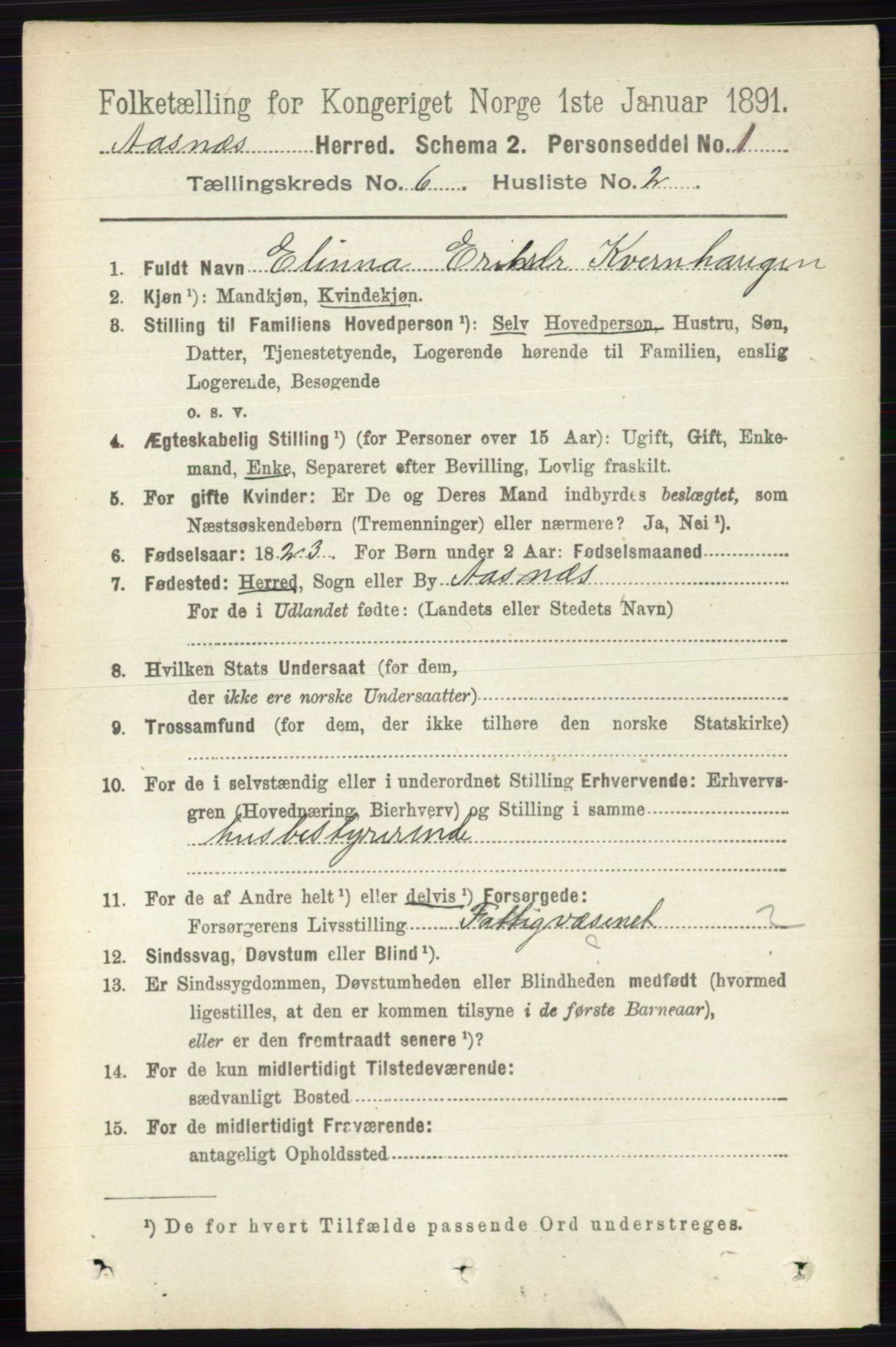 RA, 1891 census for 0425 Åsnes, 1891, p. 2800