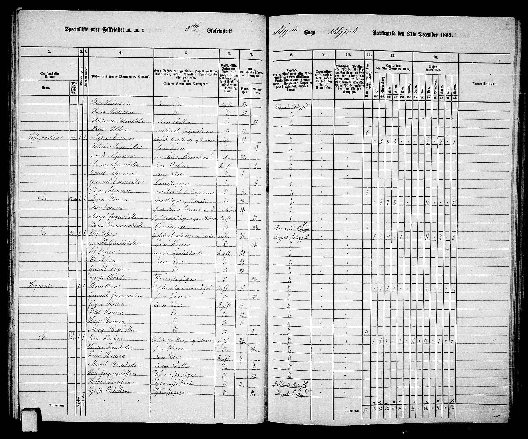RA, 1865 census for Seljord, 1865, p. 32