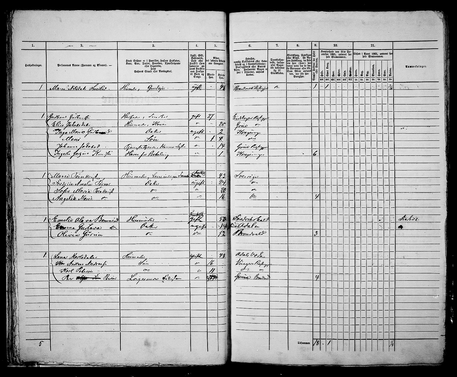 RA, 1865 census for Vinger/Kongsvinger, 1865, p. 45