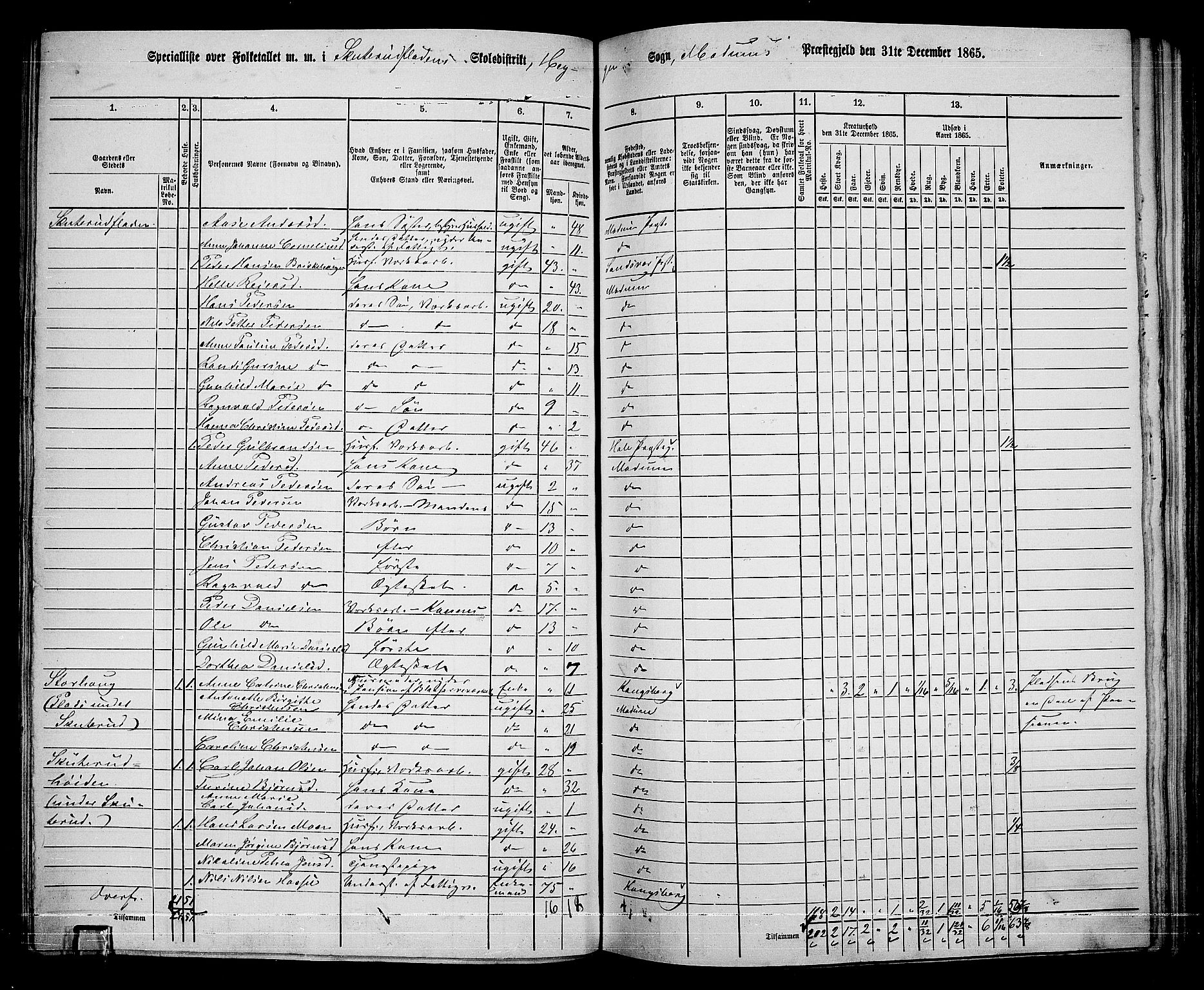 RA, 1865 census for Modum, 1865, p. 221