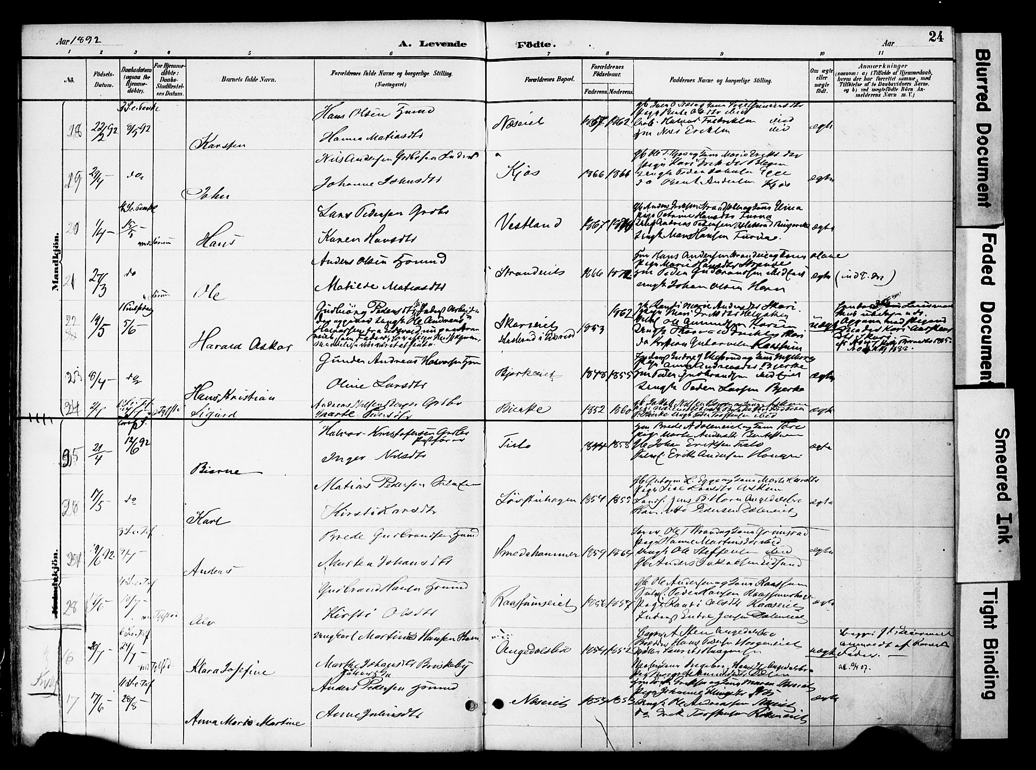 Gran prestekontor, AV/SAH-PREST-112/H/Ha/Haa/L0020: Parish register (official) no. 20, 1889-1899, p. 24