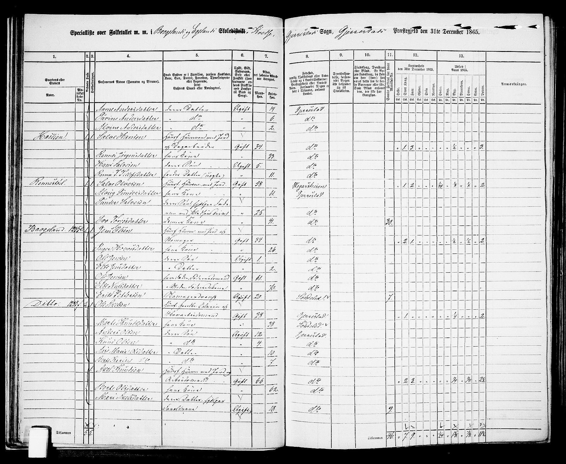 RA, 1865 census for Gjerstad, 1865, p. 23