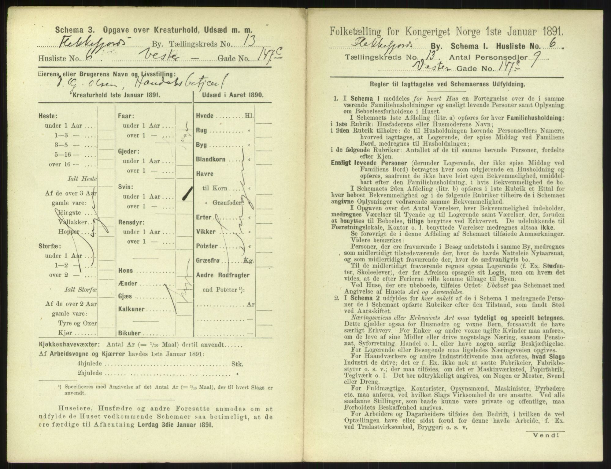 RA, 1891 census for 1004 Flekkefjord, 1891, p. 462