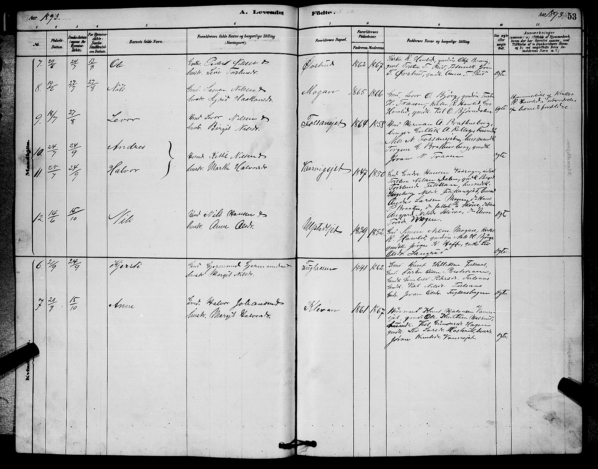 Rollag kirkebøker, AV/SAKO-A-240/G/Ga/L0004: Parish register (copy) no. I 4, 1878-1903, p. 53