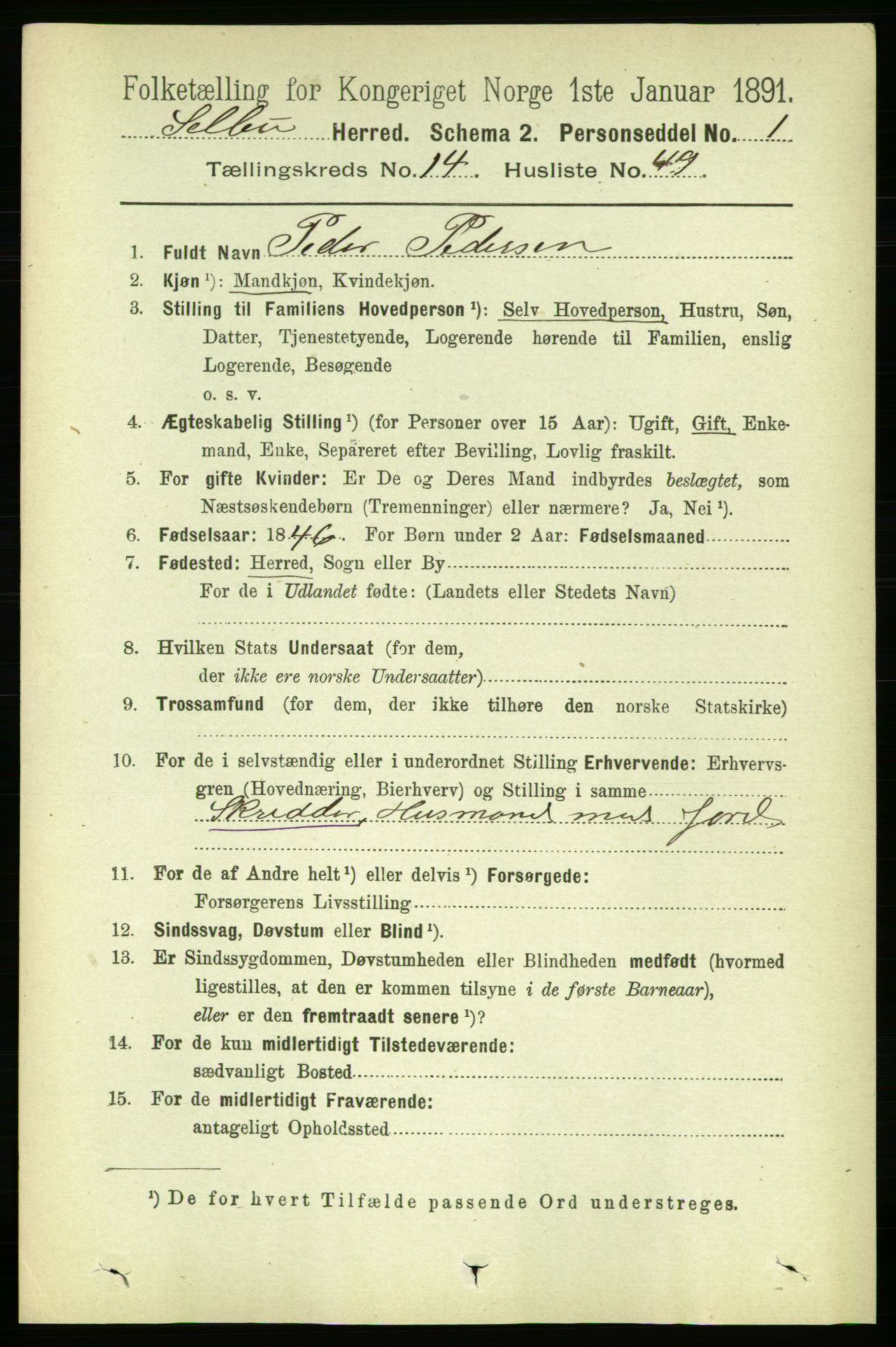 RA, 1891 census for 1664 Selbu, 1891, p. 5389