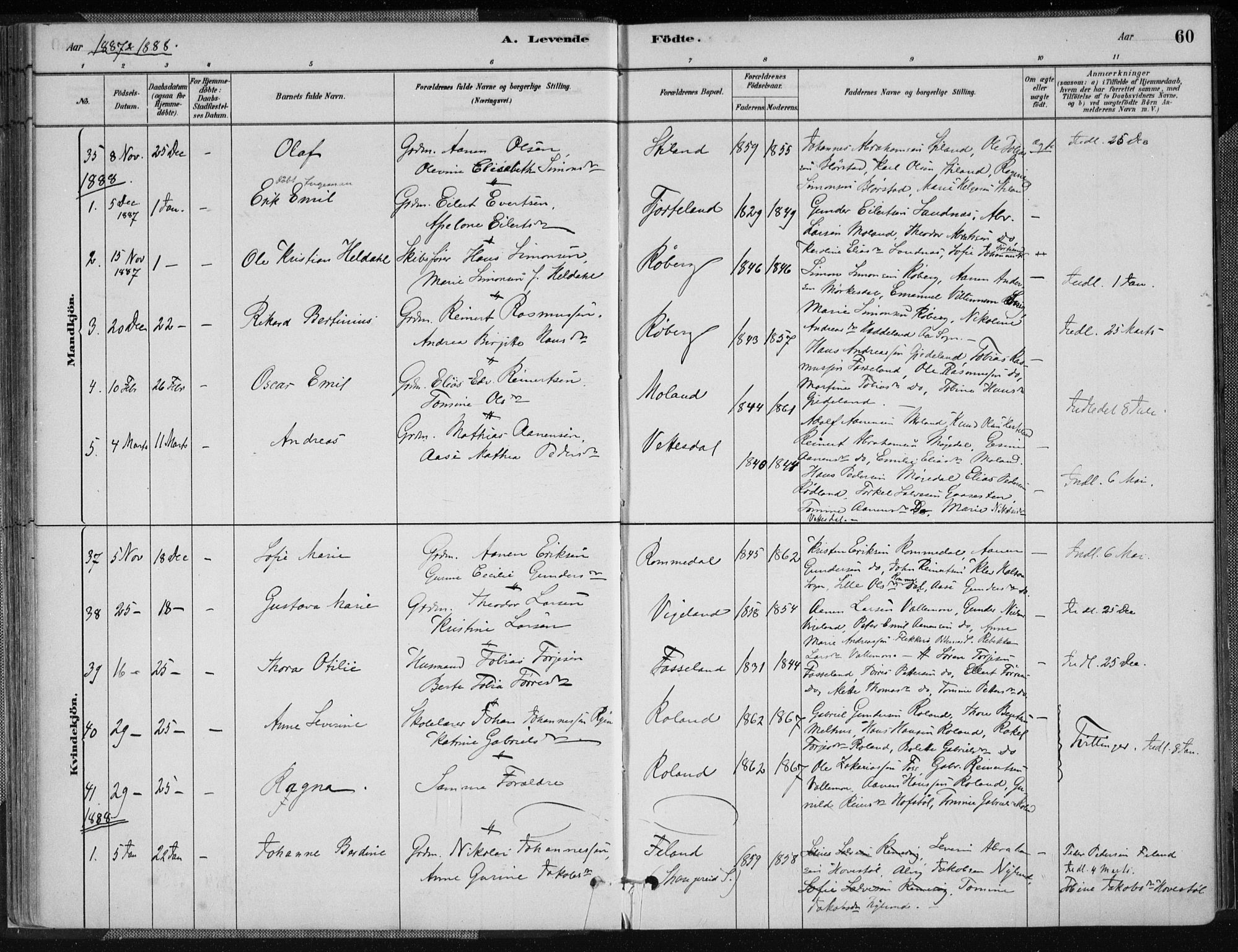 Sør-Audnedal sokneprestkontor, AV/SAK-1111-0039/F/Fa/Fab/L0009: Parish register (official) no. A 9, 1880-1895, p. 60