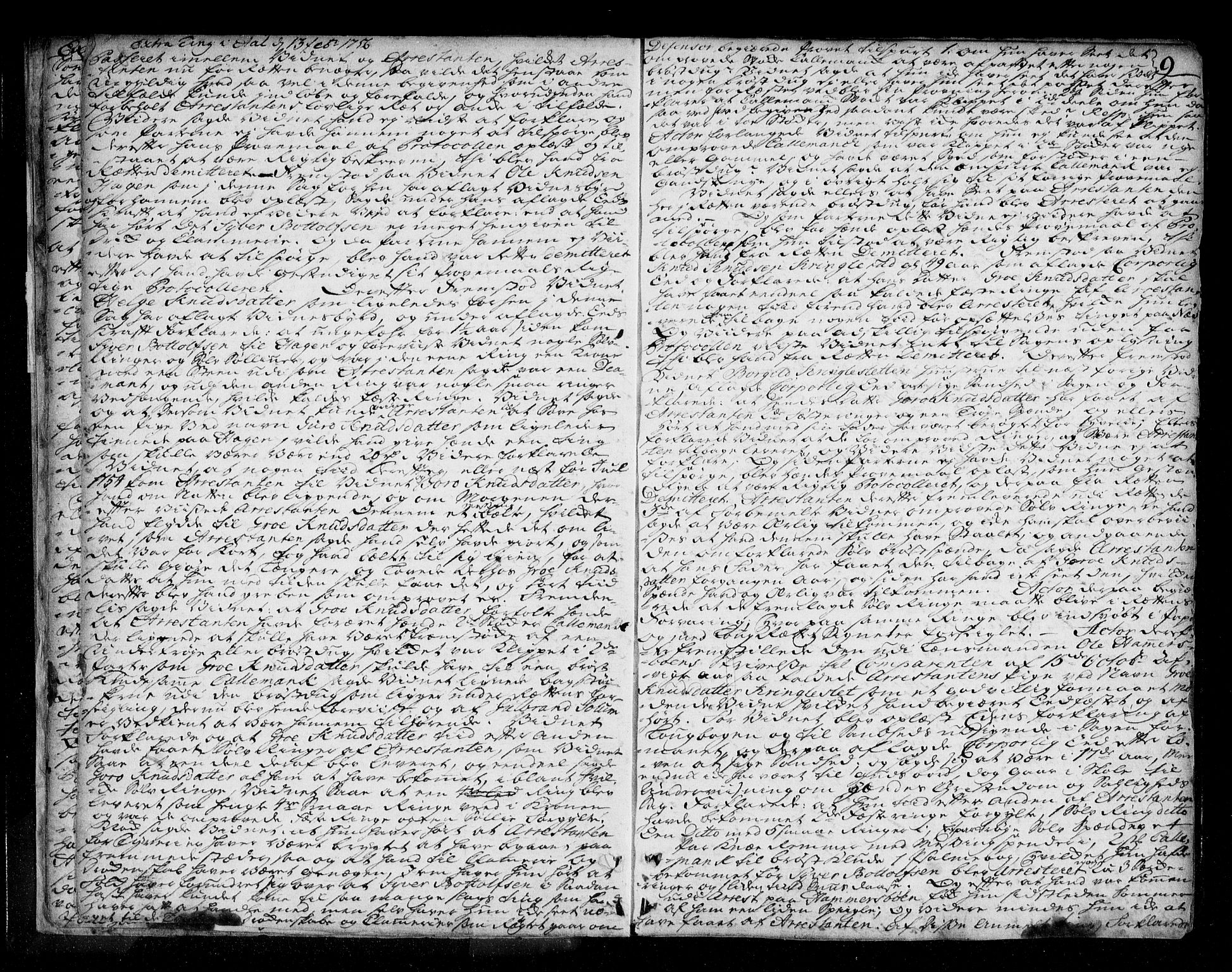 Ringerike og Hallingdal sorenskriveri, AV/SAKO-A-81/F/Fa/Fad/L0005: Tingbok - Hallingdal, 1756-1764, p. 9