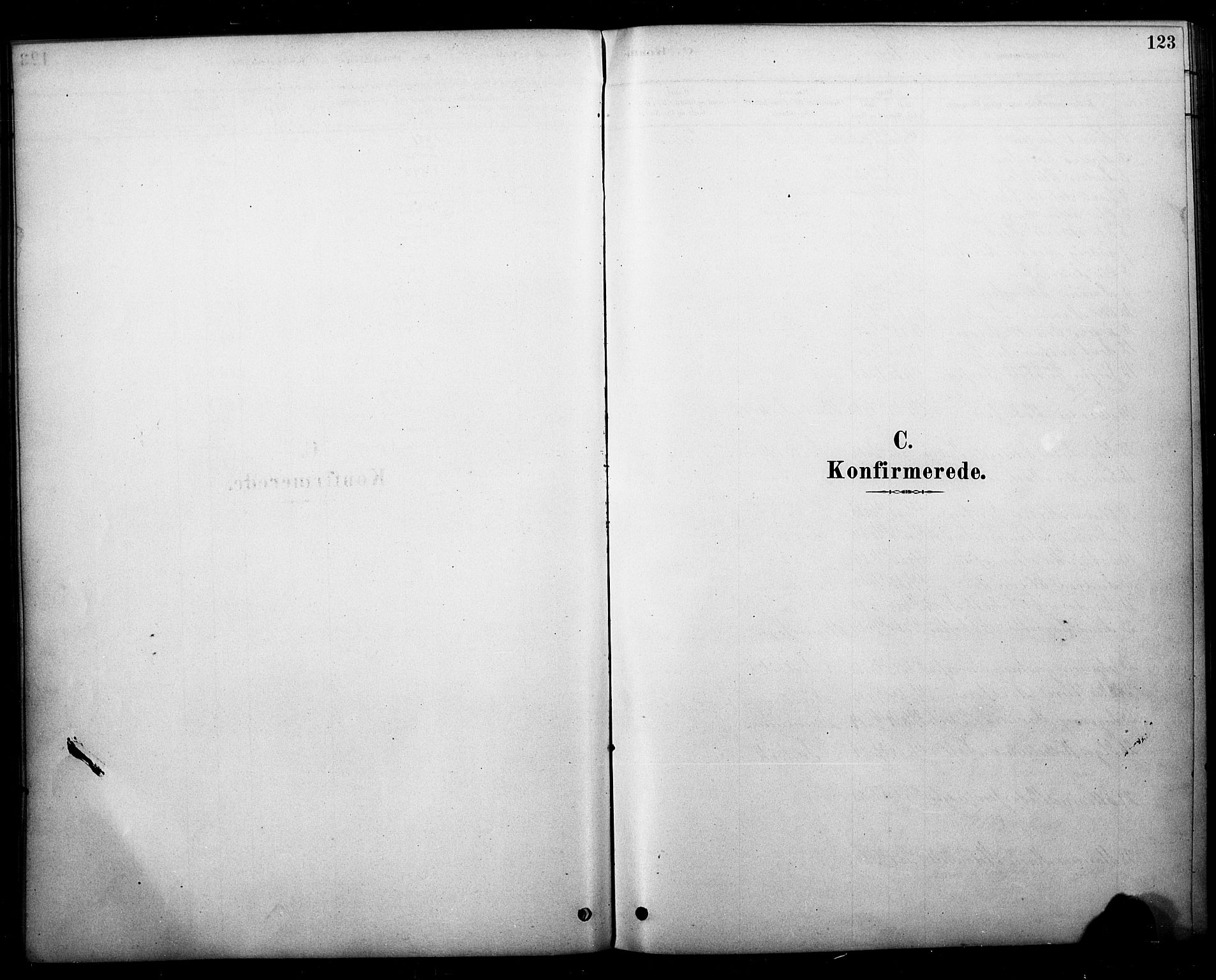 Strømm kirkebøker, SAKO/A-322/F/Fb/L0001: Parish register (official) no. II 1, 1878-1899, p. 123
