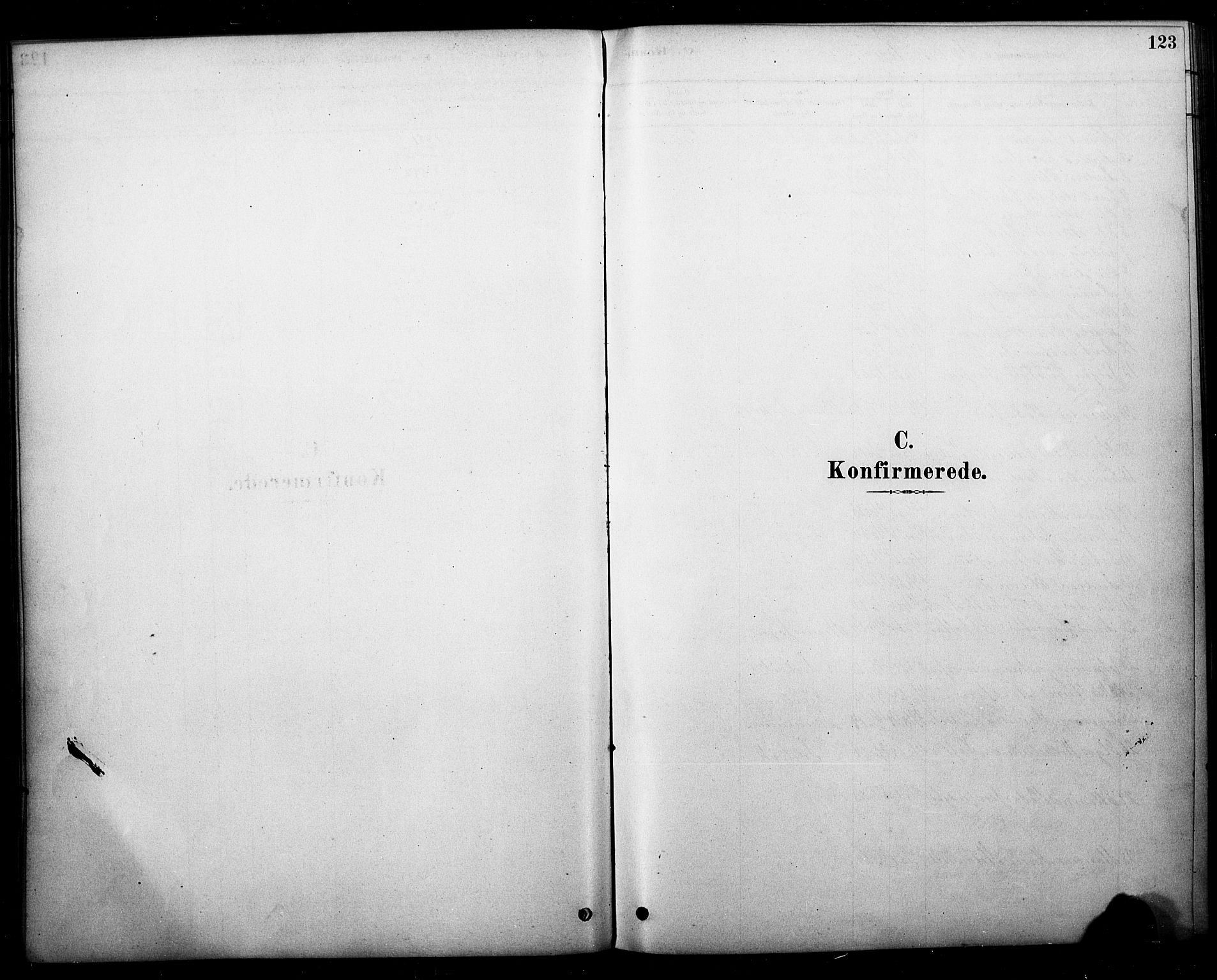 Strømm kirkebøker, AV/SAKO-A-322/F/Fb/L0001: Parish register (official) no. II 1, 1878-1899, p. 123