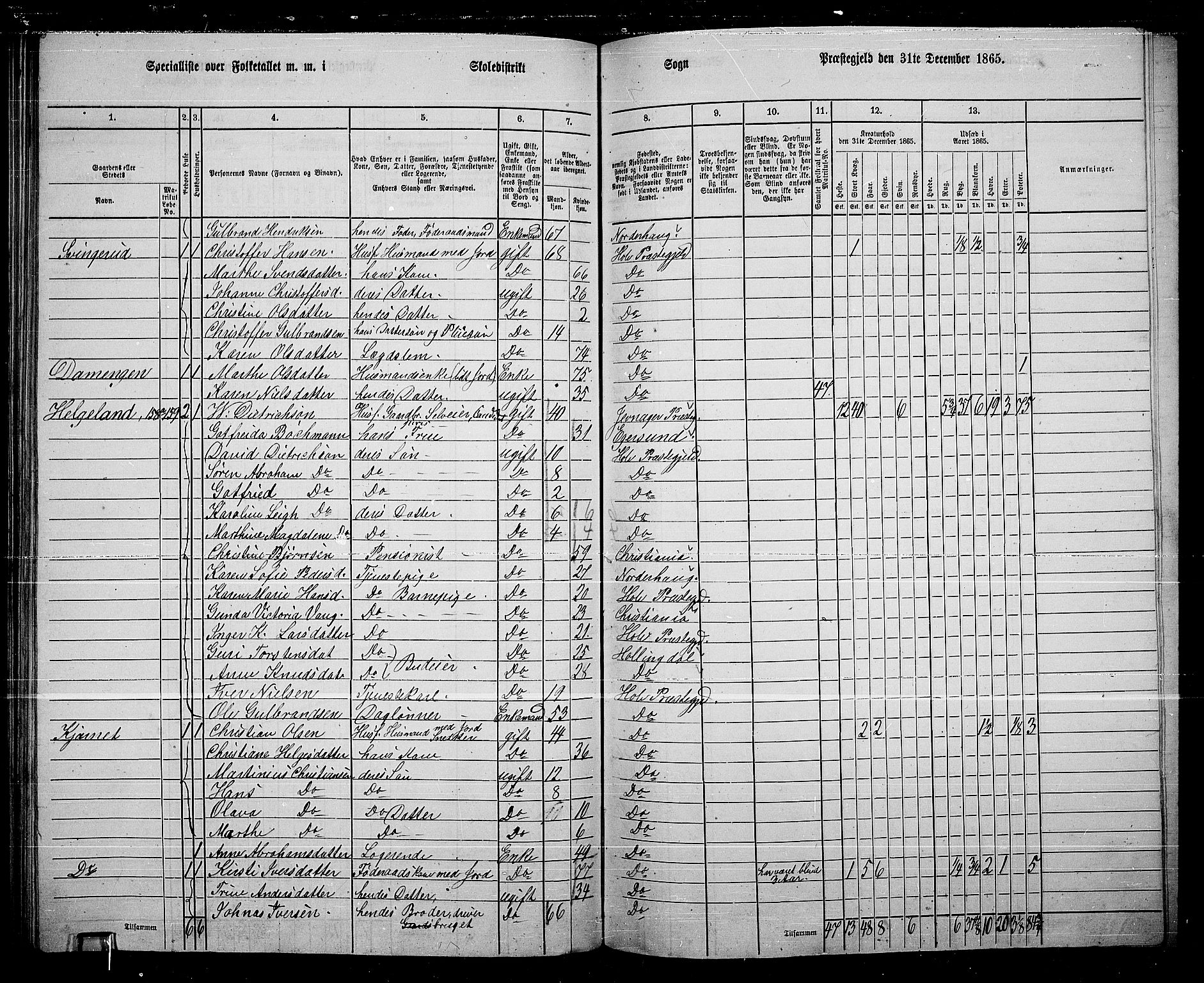 RA, 1865 census for Hole, 1865, p. 114