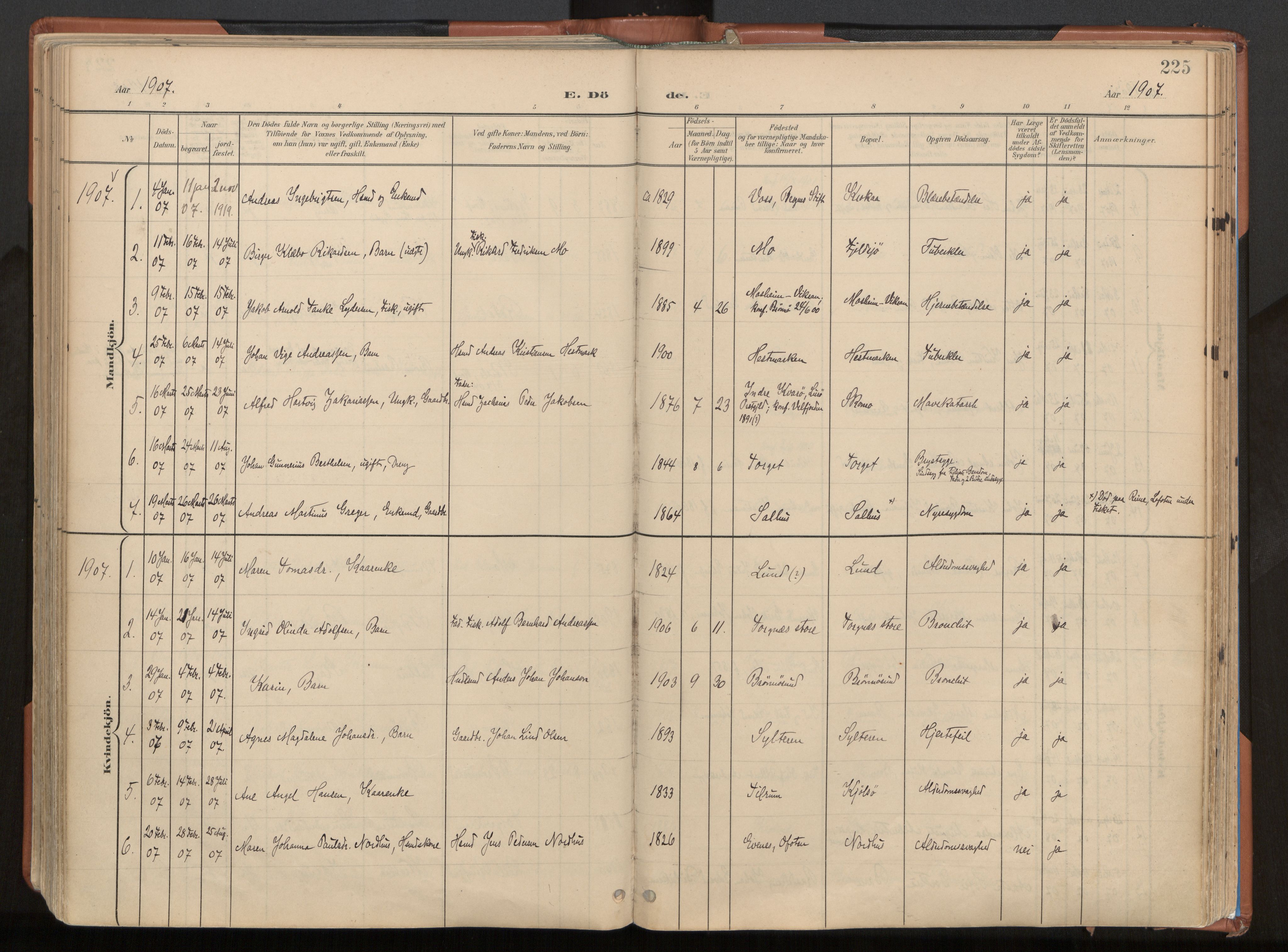 Ministerialprotokoller, klokkerbøker og fødselsregistre - Nordland, SAT/A-1459/813/L0201: Parish register (official) no. 813A11, 1901-1918, p. 225