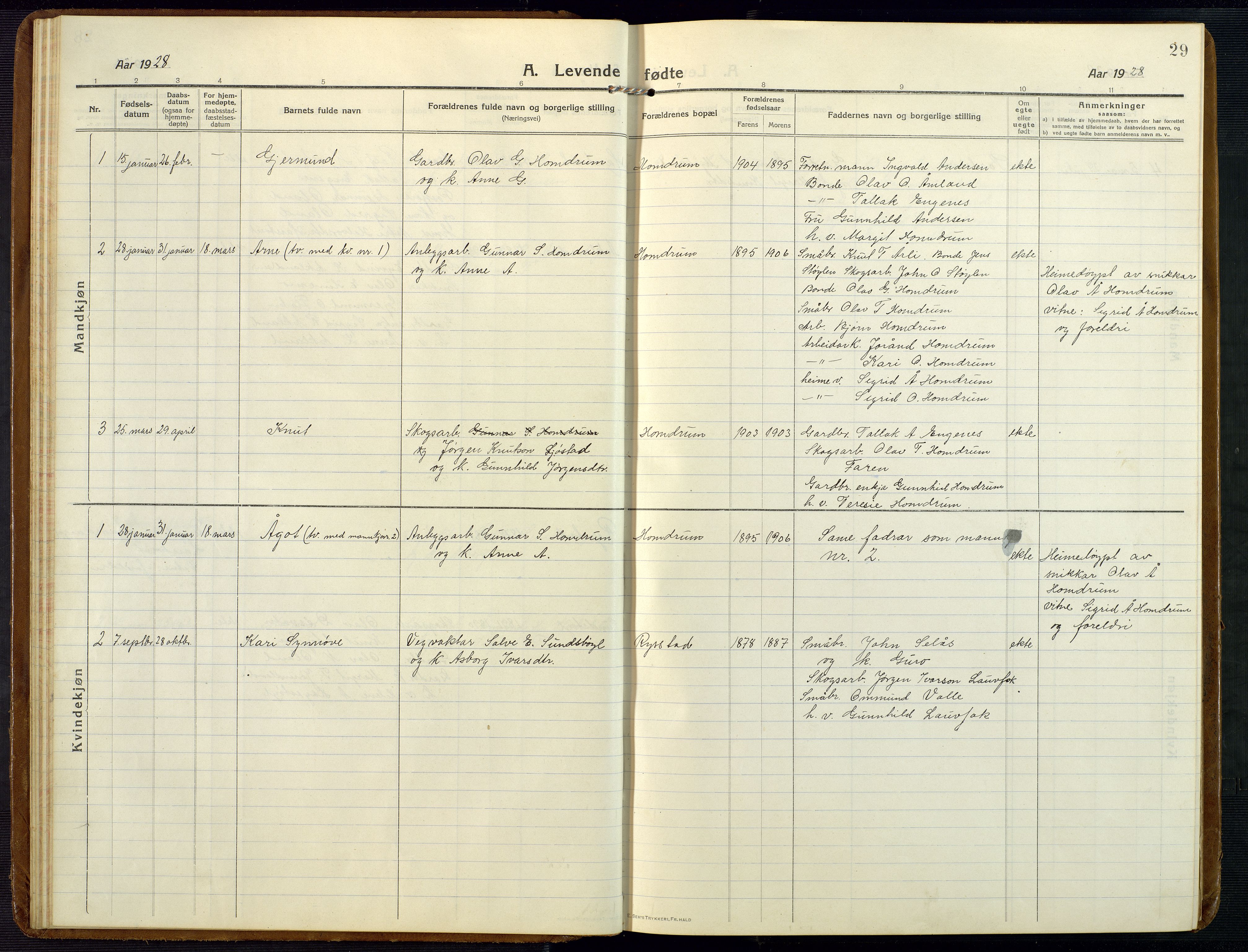 Åmli sokneprestkontor, AV/SAK-1111-0050/F/Fb/Fba/L0003: Parish register (copy) no. B 3, 1912-1974, p. 29
