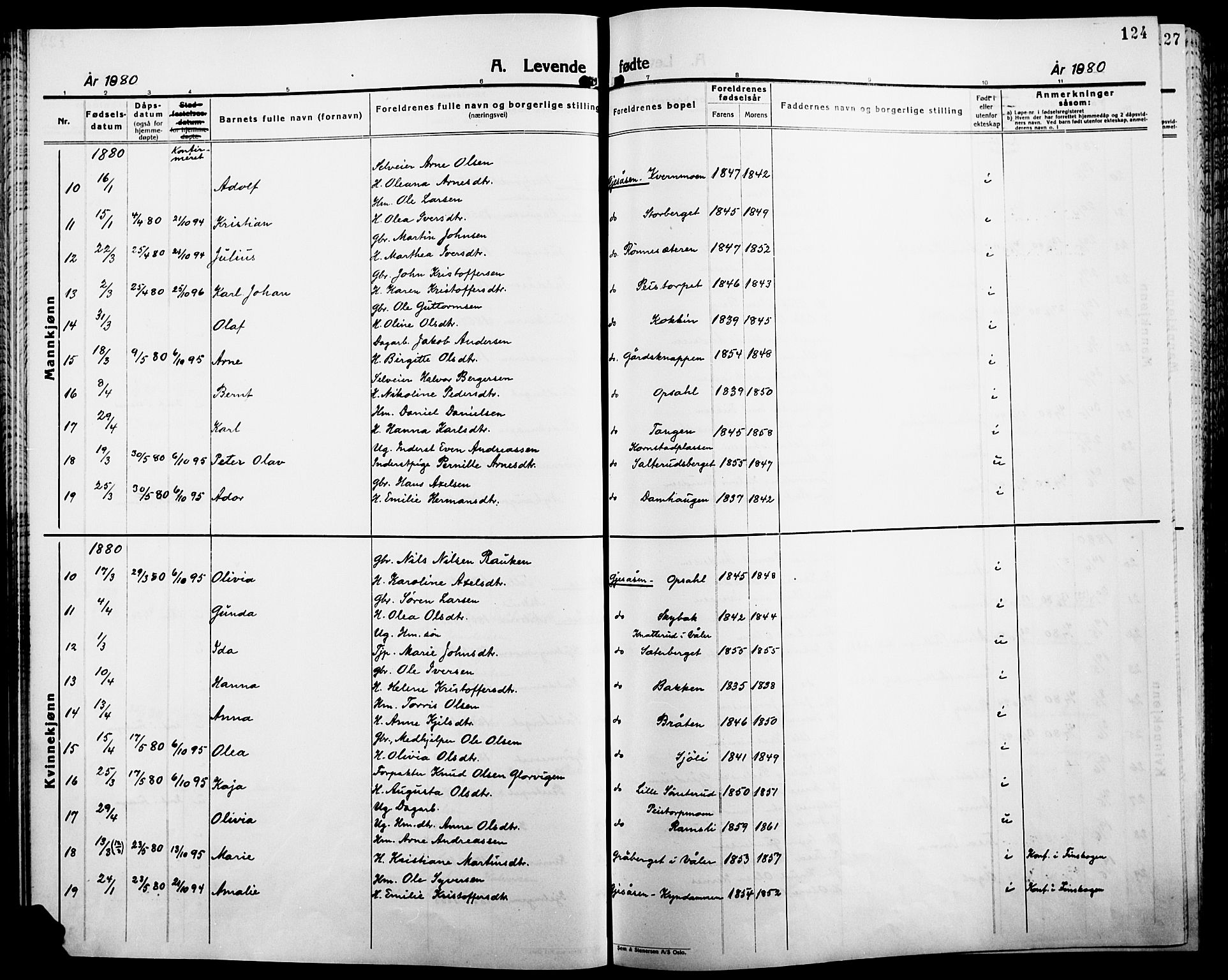 Åsnes prestekontor, AV/SAH-PREST-042/H/Ha/Haa/L0000B: Parish register (official), 1870-1889, p. 124