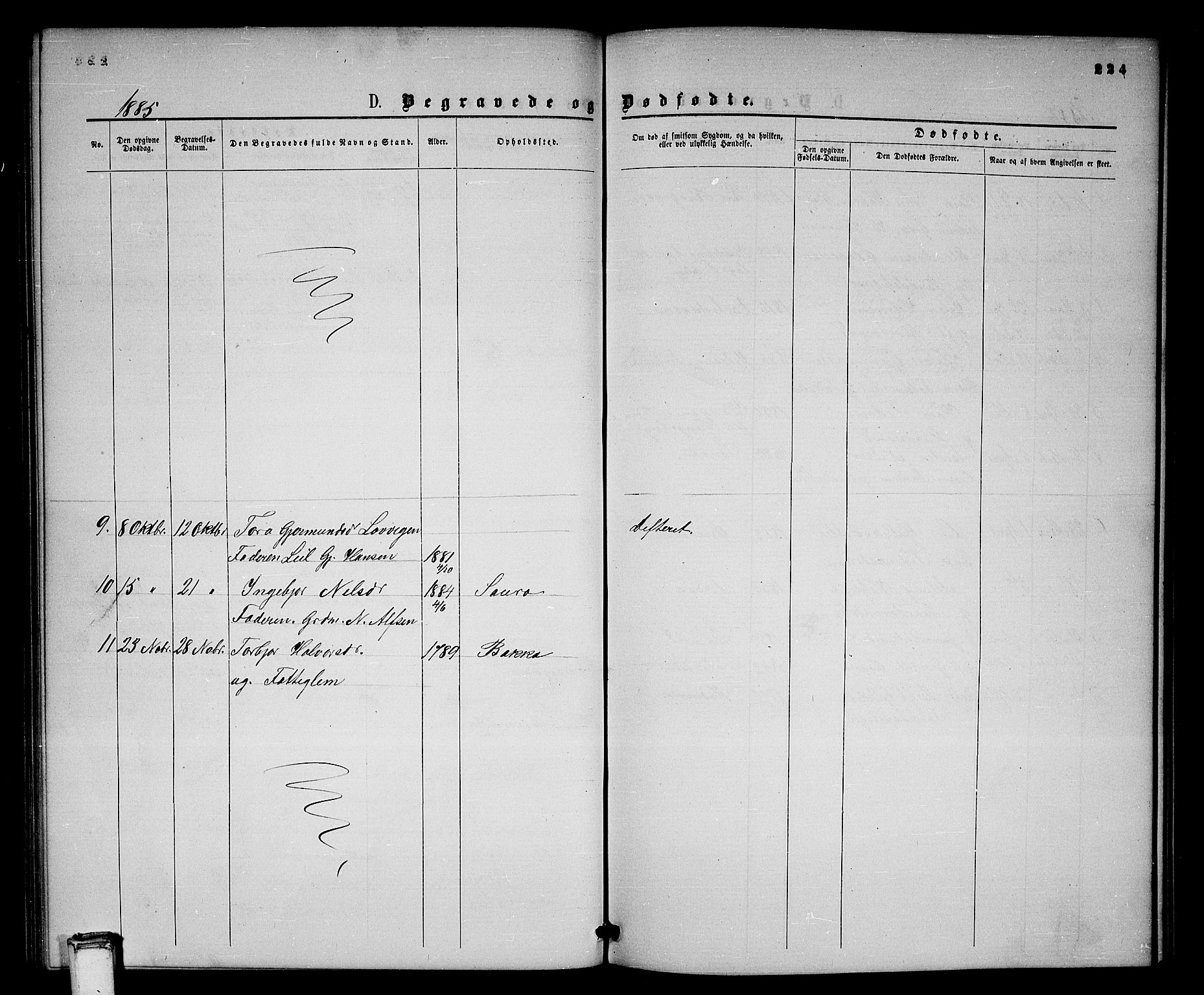 Gransherad kirkebøker, SAKO/A-267/G/Gb/L0002: Parish register (copy) no. II 2, 1860-1886, p. 224