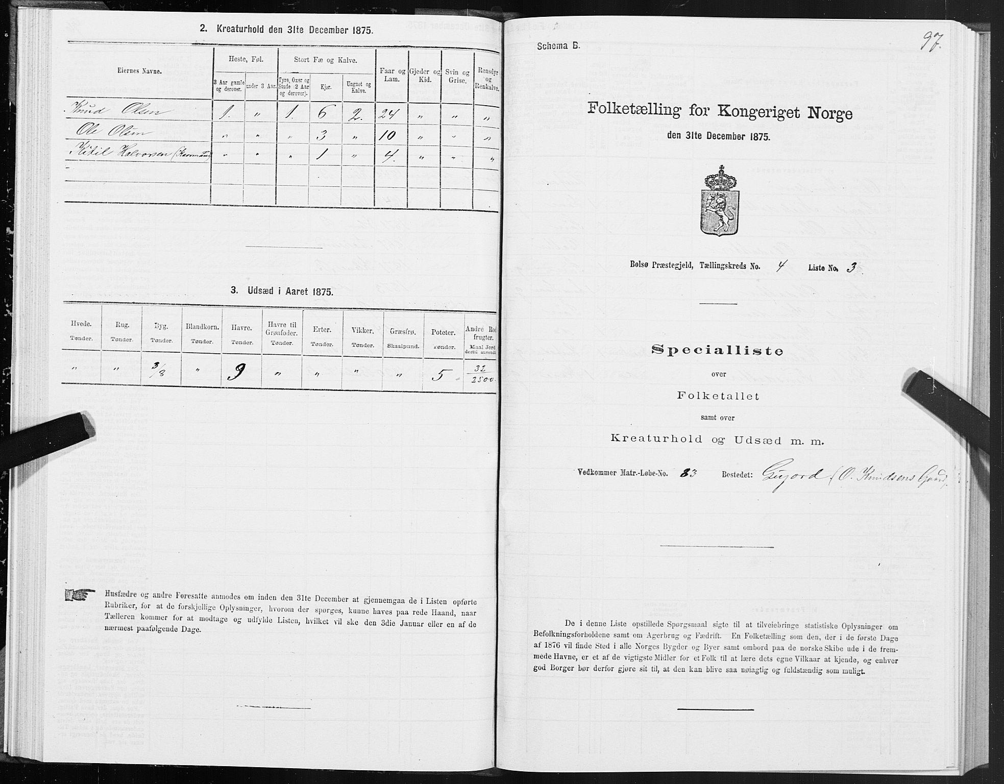 SAT, 1875 census for 1544P Bolsøy, 1875, p. 3097