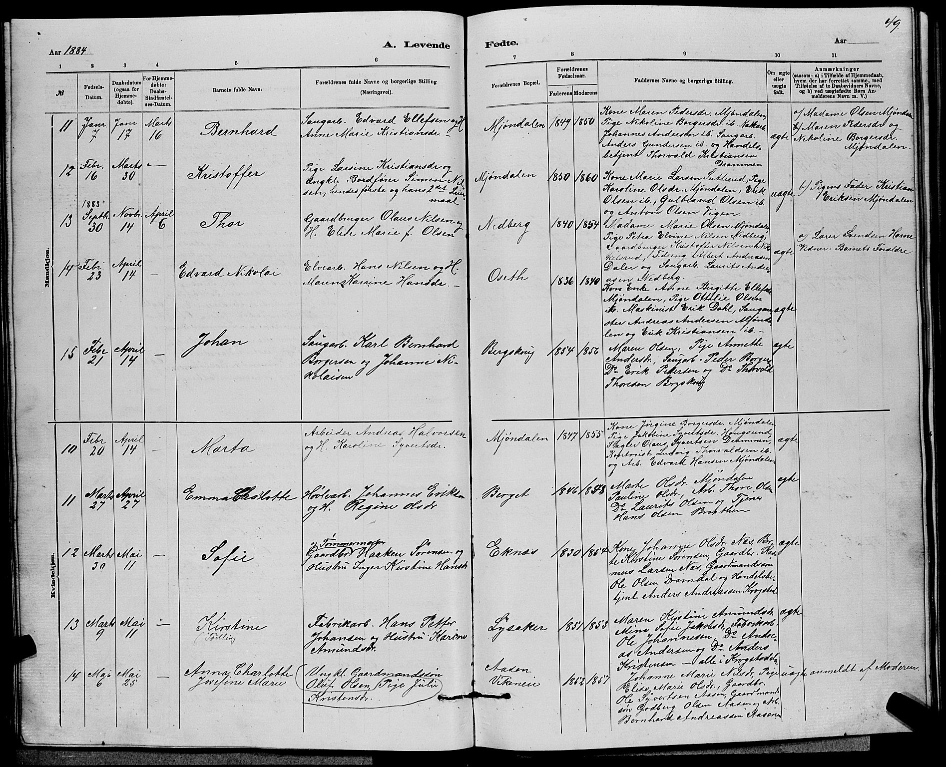 Nedre Eiker kirkebøker, AV/SAKO-A-612/G/Ga/L0002: Parish register (copy) no. 2, 1880-1896, p. 49