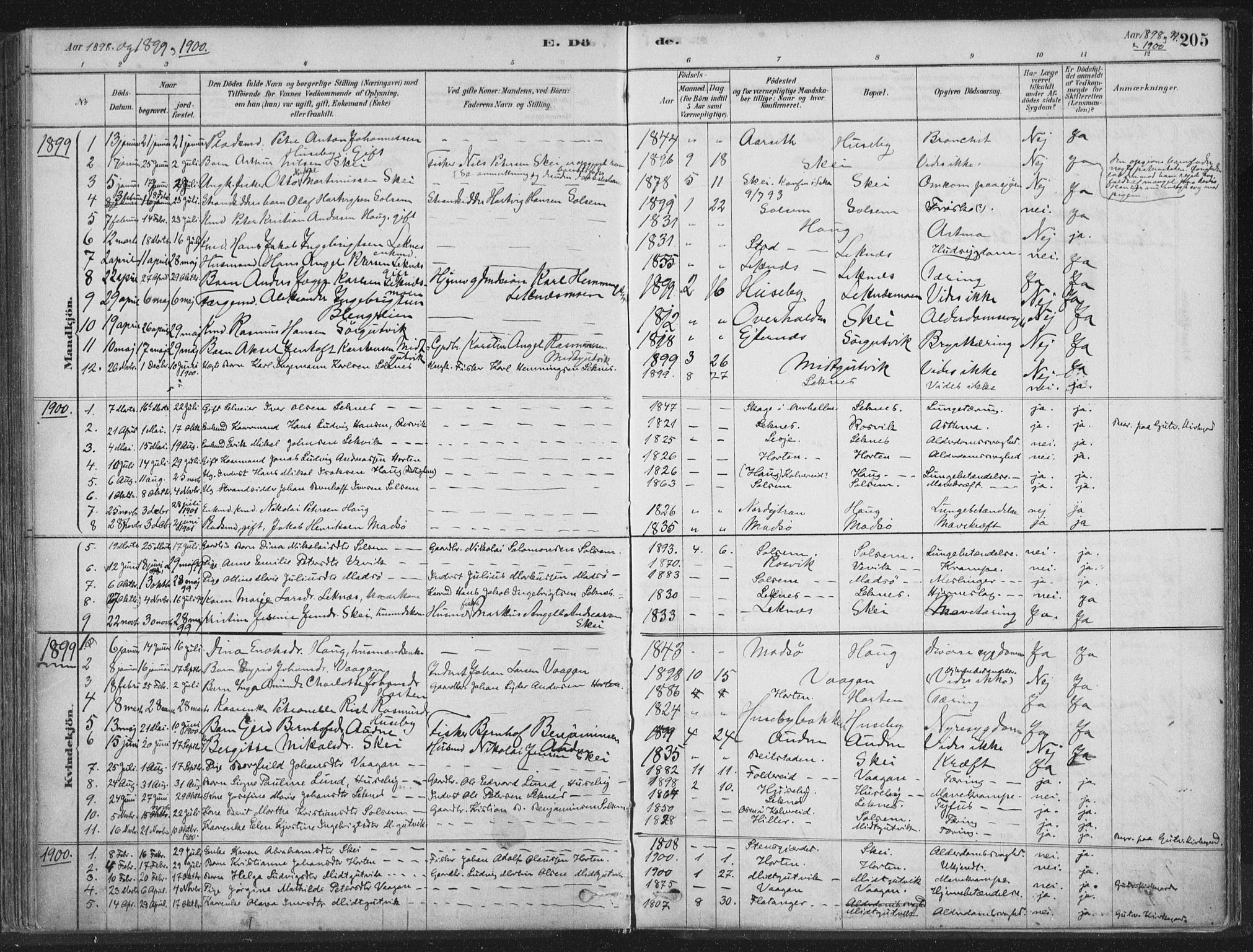 Ministerialprotokoller, klokkerbøker og fødselsregistre - Nord-Trøndelag, SAT/A-1458/788/L0697: Parish register (official) no. 788A04, 1878-1902, p. 205