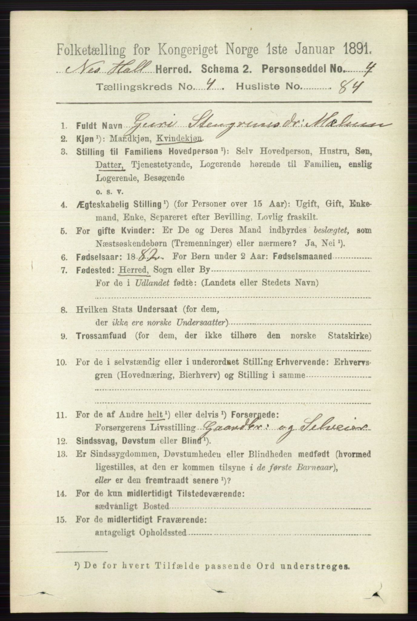 RA, 1891 census for 0616 Nes, 1891, p. 2562