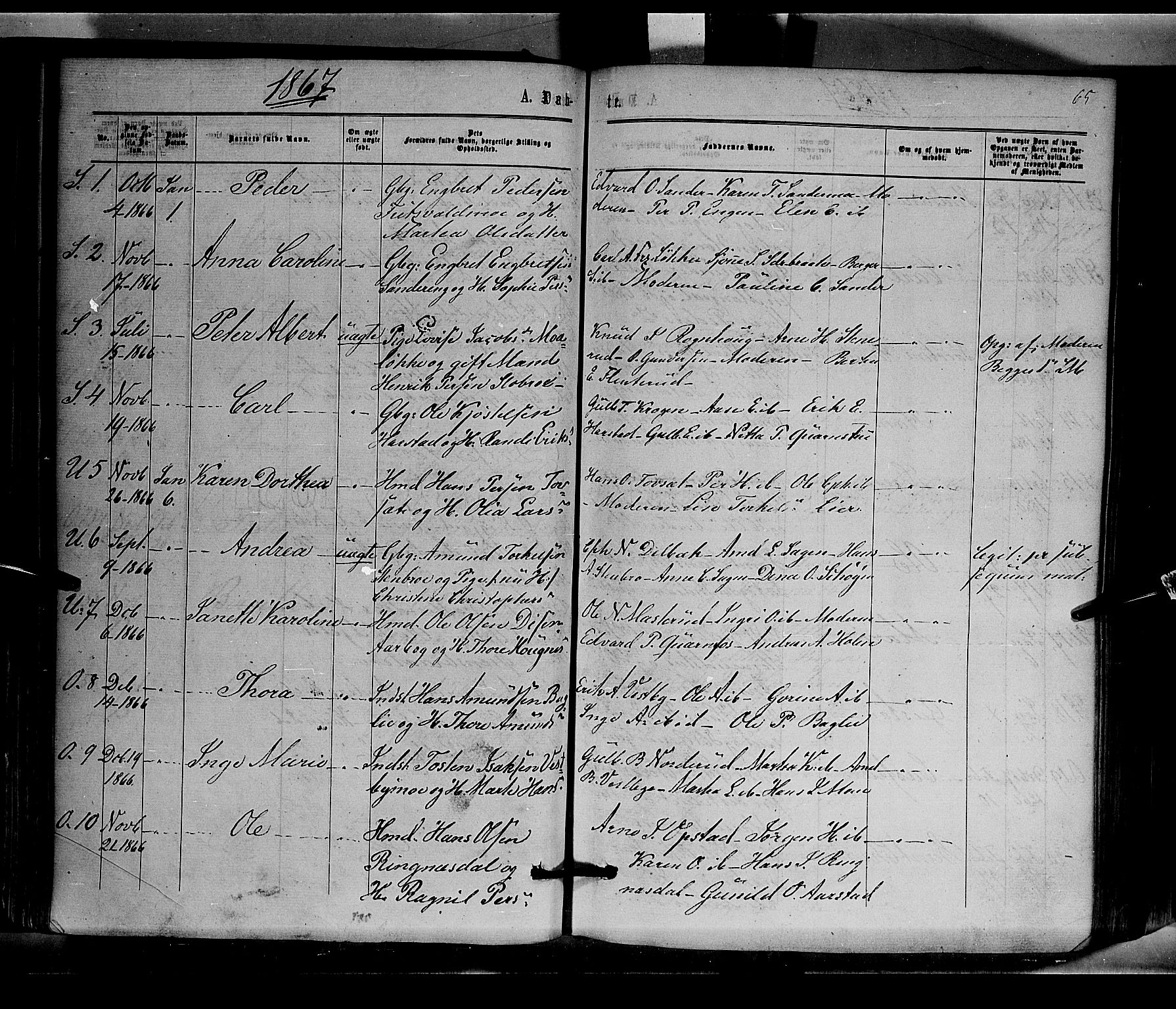 Sør-Odal prestekontor, AV/SAH-PREST-030/H/Ha/Haa/L0003: Parish register (official) no. 3, 1864-1870, p. 65