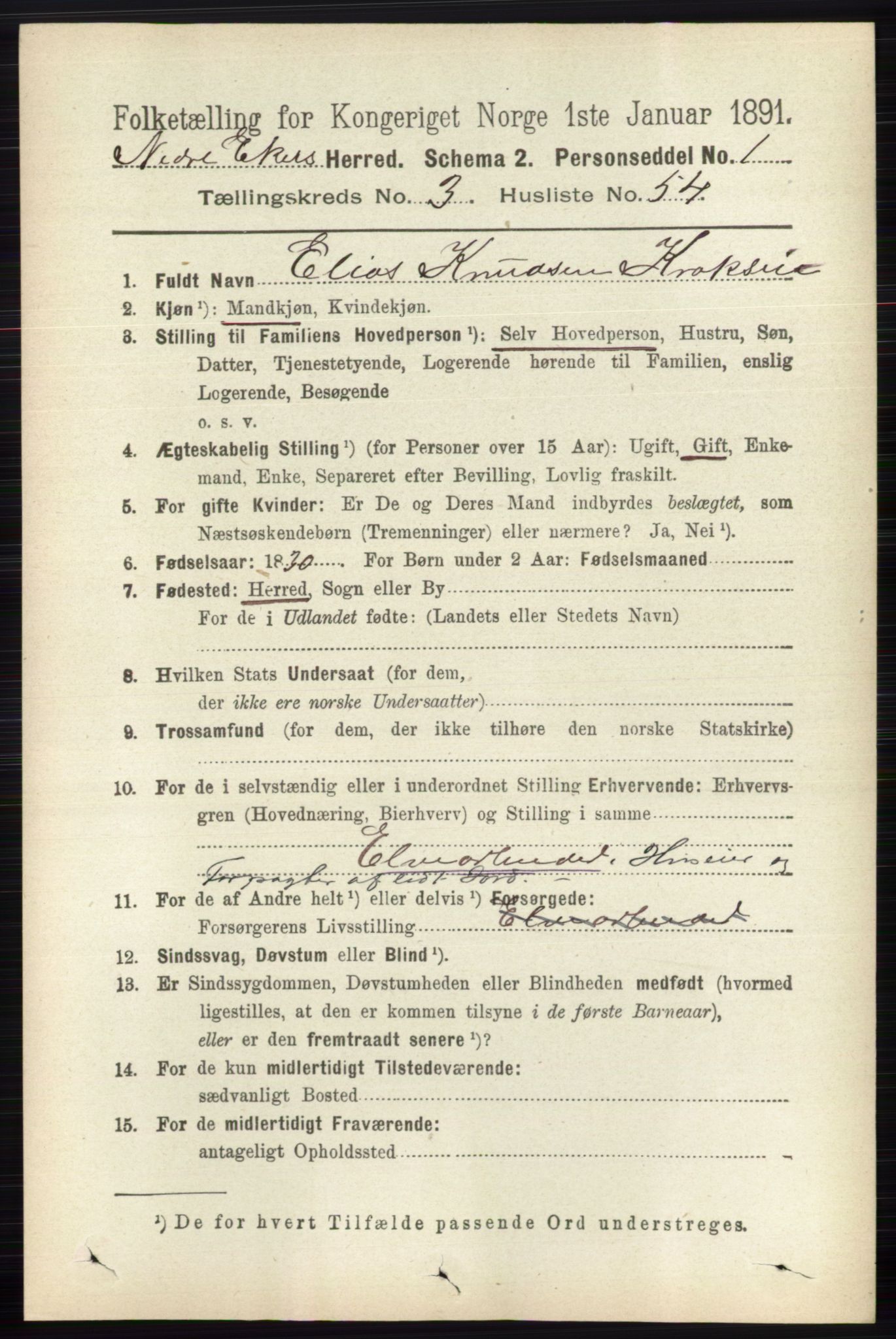 RA, 1891 census for 0625 Nedre Eiker, 1891, p. 1478
