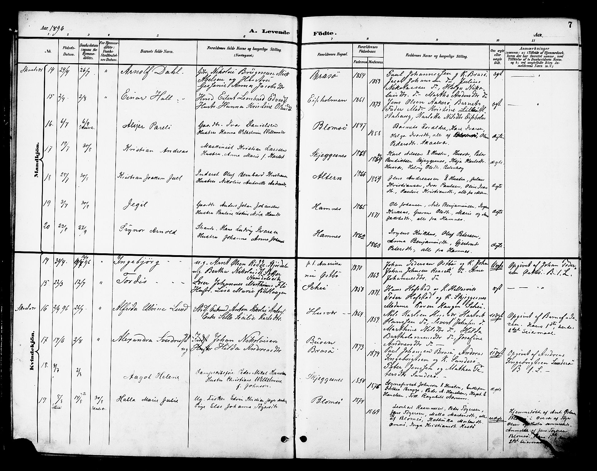 Ministerialprotokoller, klokkerbøker og fødselsregistre - Nordland, SAT/A-1459/830/L0463: Parish register (copy) no. 830C05, 1895-1906, p. 7