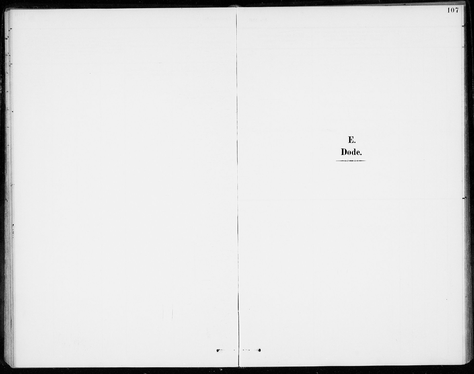 Sigdal kirkebøker, SAKO/A-245/F/Fc/L0002: Parish register (official) no. III 2, 1894-1911, p. 107